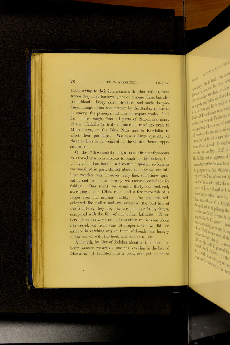 stock, owing to their intercourse with other nations, from whom they have borrowed, not only some ideas, but also some blood. Ivory, ostrich-feathers, and such-like pro- duce, brought from the interior by the Arabs, appear to be among the principal articles of export trade. The former are brought from all parts of Nubia, and many of the Hadarba (a truly commercial race) go even to Musselamya, on the Blue Nile, and to Kordofan to effect their purchases. We saw a large quantity of these articles being weighed at the Custom-house, oppo- site to us. On the I7th we sailed; but, as not unfrequently occurs to a traveller who is anxious to reach his destination, the wind, which had been in a favourable quarter so long as we remained in port, shifted about the day we set sail. The weather was, however, very fine, sometimes quite calm, and so of an evening we amused ourselves by fishing. One night we caught thirty-one rock-cod, averaging about 121bs. each, and a few more fish of a larger size, but inferior quality. The cod are red- coloured like mullet, and are esteemed the best fish of the B,ed Sea *, they are, however, but poor flabby things, compared with the fish of our colder latitudes. Num- bers of sharks were in calm weather to be seen about the vessel, but front want of proper tackle we did not succeed in catching any of them, although one hungry fellow ran off with the hook and part of a line. At length, by dint of dodging about in the most lub- berly manner, we arrived one fine evening in the bay of Massawa. I tumbled into a boat, and got on shore