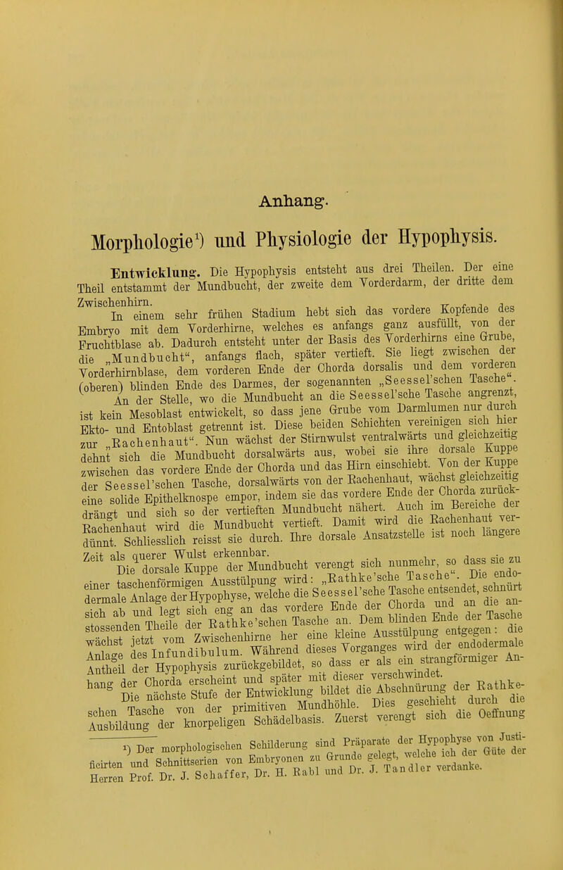 Anliang. Morpliologie') und Physiologie der Hypopliysis. Entwicklung. Die Hypophysis entsteht aus drei Theilen Der eine Theil entstammt der Mundbuclit, der zweite dem Yorderdarm, der dritte dem Zwischenhirn. , , , ir i„ In einem sehr frühen Stadium hebt sich das vordere Kopfende des Bm-bryo mit dem Vorderhirne, welches es anfangs ganz ausfüUt, von der Fruchtblase ab. Dadurch entsteht unter der Basis des Vorderhirns eme Grube die Mundbucht, anfangs flach, später vertieft. Sie he^ zwischen der Vorderhirnblase, dem vorderen Ende der Chorda dorsalis und dem vorderen (oberen) blinden Ende des Darmes, der sogenannten „Seessel sehen Tasche ^ An der Stelle wo die Mundbucht an die Seessel'sche Tasche angrenzt ist kein Mesoblast entwickelt, so dass jene Grube vom Darmlumen nur durch Ekto und Entoblast getrennt ist. Diese beiden Schichten jereimgen sich h^r zm Eachenhaut. Nun wächst der Stirnwulst ventralwarts und gleichzeiüg dSnt slh die Mundbucht dorsalwärts aus, wobei sie ihre dorsale Kuppe Sehen das vordere Ende der Chorda und das Hirn einschiebt. Von der Kuppe dir SeesseTsIhen Tasche, dorsalwärts von der Eachenhaut, wachst gleichzeitig eSe so ide BpTth Iknospe empor, indem sie das vordere Ende der Chorda zuxuck- dränst u^d sich so der vertieften Mundbucht nähert. Auch im Bereiche der Mienh^t ^d die Mundbucht vertieft. Damit wird die Eachenhaut ver- SnÄlieSch reisst sie durch. Ihre dorsale AnsatzsteUe ist noch längere teTÄp\:trM—^ verengt sich nunmehr so dass ^e zu Ä der Hyp^^^^^^^^^^ zurückgebildet, so dass er als ein strangformiger An- Är-oSigT^^^^ - Ä