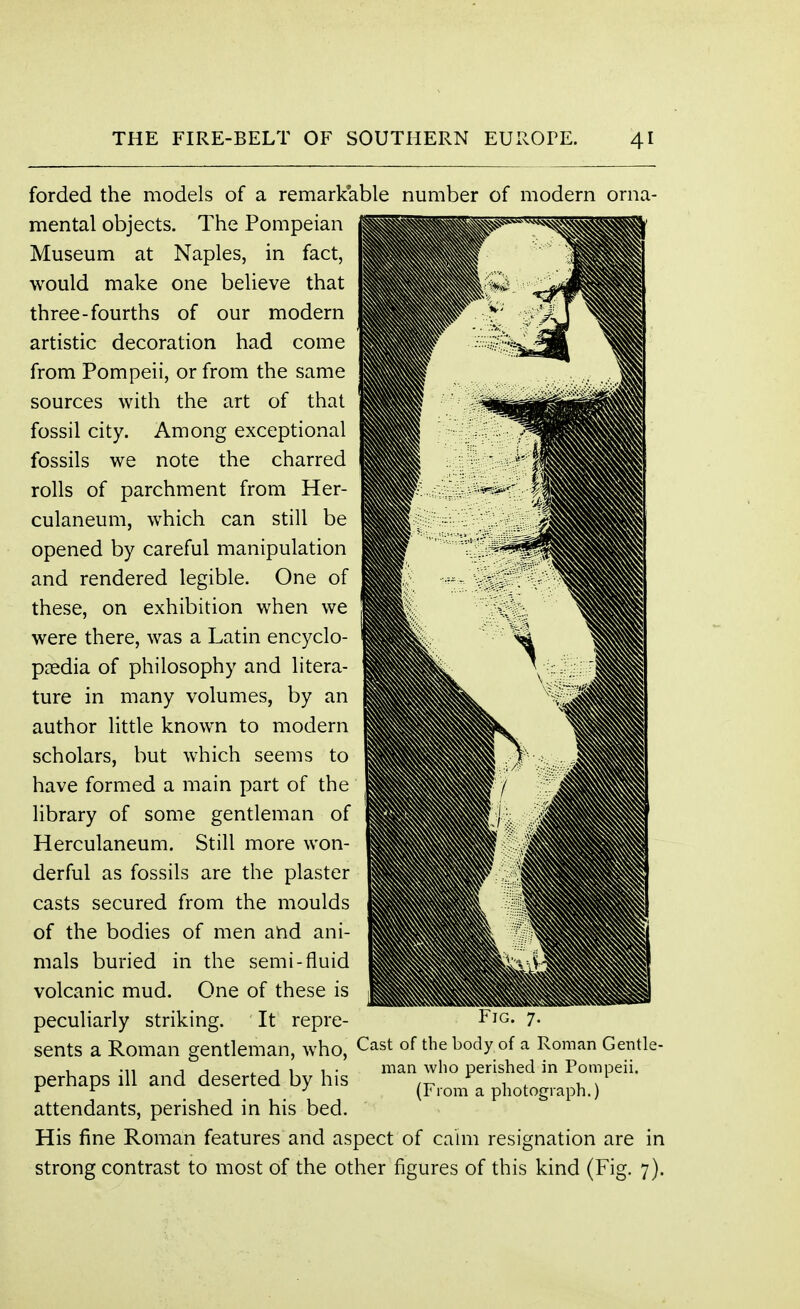 forded the models of a remarkable number of modern orna mental objects. The Pompeian Museum at Naples, in fact, would make one believe that three-fourths of our modern artistic decoration had come from Pompeii, or from the same sources with the art of that fossil city. Among exceptional fossils we note the charred rolls of parchment from Her- culaneum, which can still be opened by careful manipulation and rendered legible. One of these, on exhibition when we were there, was a Latin encyclo- paedia of philosophy and litera- ture in many volumes, by an author little known to modern scholars, but which seems to have formed a main part of the library of some gentleman of Herculaneum. Still more won- derful as fossils are the plaster casts secured from the moulds of the bodies of men and ani- mals buried in the semi-fluid volcanic mud. One of these is peculiarly striking. It repre- sents a Roman gentleman, who, Cast of the body, of a Roman Gentle- , .„ j j man who perished in Pompeii, perhaps ill and deserted by his r 1 * r 3 (From a photograph.) attendants, perished in his bed. His fine Roman features and aspect of cairn resignation are in strong contrast to most of the other figures of this kind (Fig. 7).