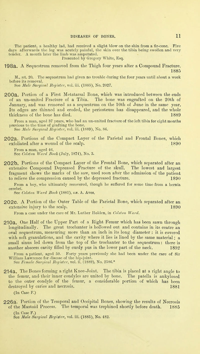 The patient, a healthy lad, had received a slight blow on the shin from a fir-conc. Five days afterwards the leg was acutely painful, the skin over the tibia being swollen and very tender. A month later the limb was amputated. Presented by Gregory White, Esq. 198a. A Sequestrum removed from the Thigh four years after a Compound Fracture. 1885 M., fet. 20. The sequestrum had given no trouble during the four years until about a week before its removal. See Male Surgical Eegister, vol. iii. (1885), No. 2027. 200a. Portion of a First Metatarsal Bone, which was introduced between the ends of an un-united Fracture of a Tibia. The bone was engrafted on the 20th of January, and was removed as a sequestrum on the lOtJi of June in the same year. Its edges are thinned and eroded, the periosteum has disappeared, and the whole thickness of the bone has died. 1889 From a man, aged 37 years, who had an un-united fracture of the left tibia for eight months previous to the time of grafting the bone. See Male Surgical Register, vol. iii. (1889), No. 86. 202a. Portions of the Compact Layer of the Parietal and Frontal Bones, which exfoliated after a wound of the scalp. 1890 From a man, aged 4(5. See Colston Ward Booh (July, 1874), No. 3. 202b. Portions of the Compact Layer of the Frontal Bone, which separated after an extensive Compound Depressed Fracture of the skull. The lowest and largest fragment shows the marks of the saw, used soon after the admission of the patient to relieve the compression caused by the depressed fracture. 1890 From a boy, who ultimately recovered, though he suffered for some time from a hernia cerebri. See Colston Ward Booh (1881), s.v. A. Aves. 202c. A Portion of the Outer Table of the Parietal Bone, which separated after an extensive injury to the scalp. 1890 From a case under the care of Mr. Luther Holden, in Colston Ward. 210a. One Half of the Upper Part of a Right Femur which has been sawn through longitudinally. The great trochanter is hollowed out and contains in its centre an oval sequestrum, measuring more than an inch in its long diameter : it is covered with soft granulations, and the cavity where it hes is lined by the same material: a small sinus led down from the top of the trochanter to the sequestrum: there is another abscess cavity filled by curdy pus in the lower part of the neck. 1892 From a patient, aged 50. Forty years previously she had been under the care of Sir William Lawrence for disease of the hip-joint. See Female Surgical Begister, vol. ii. (1889), No. 2586.* 214a. The Bones forming a right Knee-Joint. The tibia is placed at a right angle to the femur, and- their inner condyles are united by bone. The patella is ankylosed to the outer condyle of the femur, a considerable portion of which has been destroyed by caries and necrosis. 1881 (In Case F.) 226a. Portion of the Temporal and Occipital Bones, showing the results of Necrosis of the Mastoid Process. The temporal was trephined shortly before death. 1885 (In Case F.) See Male Surgical Register, vol. iii. (1885), No. 482.