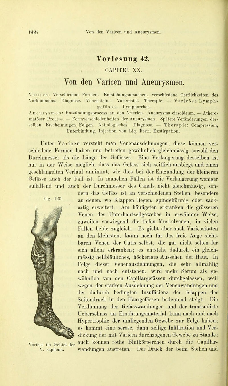 Fig. 120. Vorlesung 42. CAPITEL XX. Von den Varicen und Aneurysmen. Varices: Verschiedene Formen. Entstehungsursachen, verschiedene Oertlichkeiten des Vorkommens. Diagnose. Venensteine. Varixfistel. Therapie. — Varicöse Lymph- gefässe. Lymphorrhoe. Aneurysmen: Entzündungsprocess an den Arterien. Aneurysma cirsoideum.—Athero- matöser Process. — Formverschiedenheiten der Aneurysmen. Spätere Veränderungen der- selben. Erscheinungen, Folgen. Aetiologisches. Diagnose. — Therapie: Compression, Unterbindung, Injection von Liq. Ferri. Exstirpation. Unter Varicen versteht man Venenausdehnungen; diese können ver- schiedene Formen haben und betreffen gewöhnlich gleichmässig sowohl den Durchmesser als die Länge des Gefässes. Eine Verlängerung desselben ist nur in der Weise möglich, dass das Gefäss sich seitlich ausbiegt und einen geschlängelten Verlauf annimmt, wie dies bei der Entzündung der kleineren Gefässe auch der Fall ist. In manchen Fällen ist die Verlängerung weniger auffallend und auch der Durchmesser des Canals nicht gleichmässig, son- dern das Gefäss ist an verschiedenen Stellen, besonders an denen, wo Klappen liegen, spindelförmig oder sack- artig erweitert. Am häufigsten erkranken die grösseren Venen des Unterhautzellgewebes in erwähnter Weise, zuweilen vorwiegend die tiefen Muskelvenen, in vielen Fällen beide zugleich. Es giebt aber auch Varicositäten an den kleinsten, kaum noch für das freie Auge sicht- baren Venen der Cutis selbst, die gar nicht selten für sich allein erkranken; es entsteht dadurch ein gleich- mässig hellbläuliches, höckeriges Aussehen der Haut. In Folge dieser Venenausdehnungen, die sehr allmählig nach und nach entstehen, wird mehr Serum als ge- wöhnlich von den Capillargefässen durchgelassen, weil wegen der starken Ausdehnung der Venenwandungen und der dadurch bedingten Insufficienz der Klappen der Seitendruck in den Haargefässen bedeutend steigt. Die Verdünnung der Gefässwandungen und der transsudirte Ueberschuss an Ernährungsmaterial kann nach und nach Hypertrophie der umliegenden Gewebe zur Folge haben; es kommt eine seröse, dann zellige Infiltration und Ver- dickung der mit Varicen durchzogenen Gewebe zu Stande; Varices im Gebiet der aucn können rothe Blutkörperchen durch die Capillar- V. saphena. Wandungen austreten. Der Druck der beim Stehen und