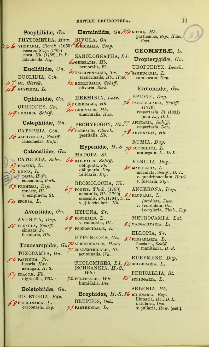 Poaphilidse, Gn. Herminiidse, #?i.>^notha, Hb. parthenias, Esp., Haw. PHYTOMETEA, Haw. EIVULA, Gn. Curt. /// £ viridaria, Clerch. (1659)^sericealis, Scop. laccata, Scop. (1763) ~ GEOMETRiE, L. £enea, Hb. (1788), D. L. ZANCLOGNATHA, Ld. TT , M.. n latruncula, Esp. / _, Uroptervgld?9, Gn. 1 ^fGRISEALIS, Hb. V J£> ) Euclidiid*, Gn. / nemoraUs, Fb. UEOPTEEYX, Leach. >/TARSIPENNALIS, Tr. r/SAMBUCARIA, L. EUCLLDIA, Och. tarsicrinalis, Hb., Haw. sambucata, Dup. /ty mi, ClercJc. emortualis, Schiff. #f glyphica, L. olivaria, Bork. Ennomidae, Gn, Ophiusidse, Gn. HEEMINIA, Latr. / ^ PIONE, Dup. MTrT/vr™ „ £jF CRIBRALIS, Hb. 7* PARALELLARIA, Schiff. OPHIODES, Gn. / m (1776) ^LUNAKIS, Schiff. SSXSw*. veSper,aria,S( (1831) / ' (non L.), D. L. Catephiidse, Gn, pECHYPOGON, Hb.77 ^el^Jtf. CATEPHIA, Och. />barbalis, Clerck. advenaria, Hb. /0 alchymista, Schiff. pectitahs, Hb. ' leucomelas, Hufn. EUMIA, Dup. Hypenidae, iJ.-^.^LUTEOLATA, CatOCalldge, Gn. MADOpA SL 7 crataegata, L., D. L. CATOCALA, Schr. ^£ salicalis, ' Schiff. VENILIA, Dup. ^/ FRAXINI, L. obliquata, Fb. Ca „»„ttt kT>rk' r Jfr nupta, L. obliquaria, Dup. & * maciflata' SoUff D L pacta, Hufn. nitidaria, Esp. ^^uadrimaculat'a, Hatch concubina 5or7c. BEOMOLOCHA, Hb. v' fuscaria> St°r' ^mneste'i^^' ^/fontis, Thnb. (1788) ANGEEONA, Dup. v. conjuncta, St. achatalis, Hb.$790) / / prunaria, L. ~ r crassahs, ft. (1794), D.L. , ' . „ ^ SPONSA, £. y> ^ terriculariS, H6. sordiata, u v. -j sordidata, Gn. Aventiidse, Gn. HYPENA, Tr. (corylaria, Thnb., Esp. AVENTIA Dup rostralis, L. METEOCAMPA, Lat. /y FLEXULA, Schiff. ' /d9 V- radiataHS' ^ ' fJi MARGARITARIA, £. sinuata,^. V proboscidalis, L. TaTT^TiTA m fiexularia,H&. ttvpt^tot^q ^- ELLOPIA, Tr. HYPENODES, Gn. ^/PROsapiaria, ToxOCampidse (7?i7^ALBISTRIGALIS> Haw. fasciaria, Schiff. ' Y/ costtestrigalis, St. v- manitiaria, H.-S. TOXOCAMPA, Gn. x acuminalis, Wk. St pastinum, Tr. EUEYMENE, Dup. lusoria, Haw. THOLOMIGES, Ld. /^dolobraria, L. astragali, H.-S. (SCHEANKIA, H.-S., ry craccje, Fb. m-) PEEICALLIA, St. / nigricollis, Vill. - /Zturfosalis, /^'syringaria, L. humidalis, DW. Boletobiidse, Gn. SELENIA, Hb. BOLETOBIA, Bdv. Brephides, H.-S. U ' /^fuliginaria, L. BEEPHOS, Och. ustuS, Don. carbonaria, Esp. parthenias, L. v. juliaria, Haw. (asst.). 4