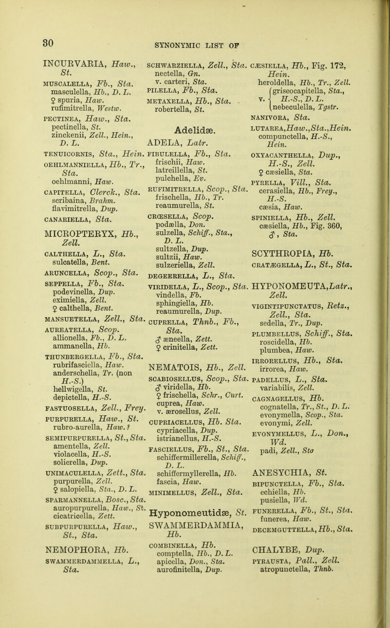 INCUEVAEIA, Haiv., St. MUSCALELLA, Fb., Std. masculella, Hb., D.L. 2 spuria, Haio. rufimitrella, Westw. pectinea, Haw., Sta. pectinella, St. zinckenii, Zell., Hein., D. L. tenuicoknis, Sta., Hein. OEHLMANNIELLA, Hb., Tr., Sta. oehlmanni, Haw. capitella, Clerck., Sta. scribaina, Brahm. flavimitrella, Dup. CANARIELLA, Sta. MIOEOPTEEYX, Hb., Zell. CALTHELLA, L., Sta. sulcatella, Bent. ARUNCELLA, Scop., Sta. seppella, Fb., Sta. podevinella, Dup. eximiella, Zell. 2 calthella, Bent. mansuetella, Zell., Sta. AUREATELLA, Scop. allionella, Fb., D. L. ammanella, Hb. THUNBERGELLA, Fb., Sta. rubrifasciella, Haw. anderschella, Tr. (non H.-S.) hellwigella, St. depictella, H.-S. fastuosella, Zell., Frey, PURPURELLA, HaiV., St. rubro-aurella, Haw. ? SEMIPURPURELLA, St., Sta, amentella, Zell. violacella, H.-S. solierella, Dup. unimaculella, Zett., Sta, purpurella, Zell. $ salopiella, Sta., D. L. SPARMANNELLA, BoSC, Sta, auropurpurella, Haw., St, cicatricella, Zett. SUBPURPURELLA, HaiV., St., Sta. NEMOPHOEA, Hb. SWAMMERDAMMELLA, L., Sta. schwarziella, Zell., Sta. nectella, Gn. v. carteri, Sta. pilella, Fb., Sta. METAXELLA, Hb., Sta. ■ robertella, St. Adelidse. ADELA, Latr. fibulella, Fb., Sta. frischii, Haio. latreillella, St. pulchella, Ev. rufimitrella, Scop., Sta. frischella, Hb., Tr. reaumurella, St. CRGESELLA, Scop. podsella, Don. sulzella, Schiff., Sta., D.L. sultzella, Dup. sultzii, Haw. sulzeriella, Zell. DEGEERELLA, L., Sta. viridella, L., Scop., Sta. vindella, Fb. spbingiella, Hb. reaumurella, Dup. cuprella, Thnb., Fb., Sta. $ asneella, Zett. 5 crinitella, Zett. NEMATOIS, Hb., Zell. scabiosellus, Scojp., Sta. $ viridella, Hb. 2 frischella, Schr., Curt. cuprea, Haw. v. Eerosellus, Zell. gupriacellus, Hb. Sta. cypriacella, Dup. istrianellus, H.-S. fasciellus, Fb., St., Sta, schiffermillerella, Schiff., D. L. schiffermyllerella, Hb. fascia, Haw. minimellus, Zell., Sta. Hyponomeutidae, St. SWAMMEEDAMMIA, Hb. combinella, Hb. comptella, Hb., D.L. apicella, Don., Sta. aurofinitella, Dup. c^siella, Hb., Fig. 172, Hein. heroldella, Hb., Tr., Zell. (griseocapitella, Sta., H.-S., D.L. nebeculella, Tgstr. nanivora, Sta. lut are a , Haw., S ta., He in. compunctella, H.-S., Hein. oxyacanthella, Dujp., H.-S., Zell. 2 caesiella, Sta. pyrella, Vill., Sta. cerasiella, Hb., Frey., H.-S. caesia, Haw. spiniella, Hb., Zell. caesiella, Hb., Fig. 360, Sta. SCYTHEOPIA, Hb. CRAT^GELLA, L., St., Sta. HYPONOMEUTA,La«r.f Zell. VIGINTIPUNCTATUS, Retz., Zell, Sta. sedella, Tr., Dup. PLUMBELLUS, Sclliff., Sta. roscidella, Hb. plumbea, Haio. irrorellus, Hb., Sta. irrorea, Haio. padellus, L., Sta. variabilis, Zell. CAGNAGELLUS, Hb. cognatella, Tr.,St., D.L. evonymella, Scop., Sta. evonymi, Zell. EVONYMELLUS, L., Don., Wd. padi, Zell., Sta ANESYCHIA, St. BIPUNCTELLA, Fb., Sta. echiella, Hb. pusiella, Wd. FUNERELLA, Fb., St., Sta. funerea, Haio. DECEMGUTTELLA, Hb., Sta. CHALYBE, Dup. pyrausta, Pall., Zell. atropunctella, Thnb.