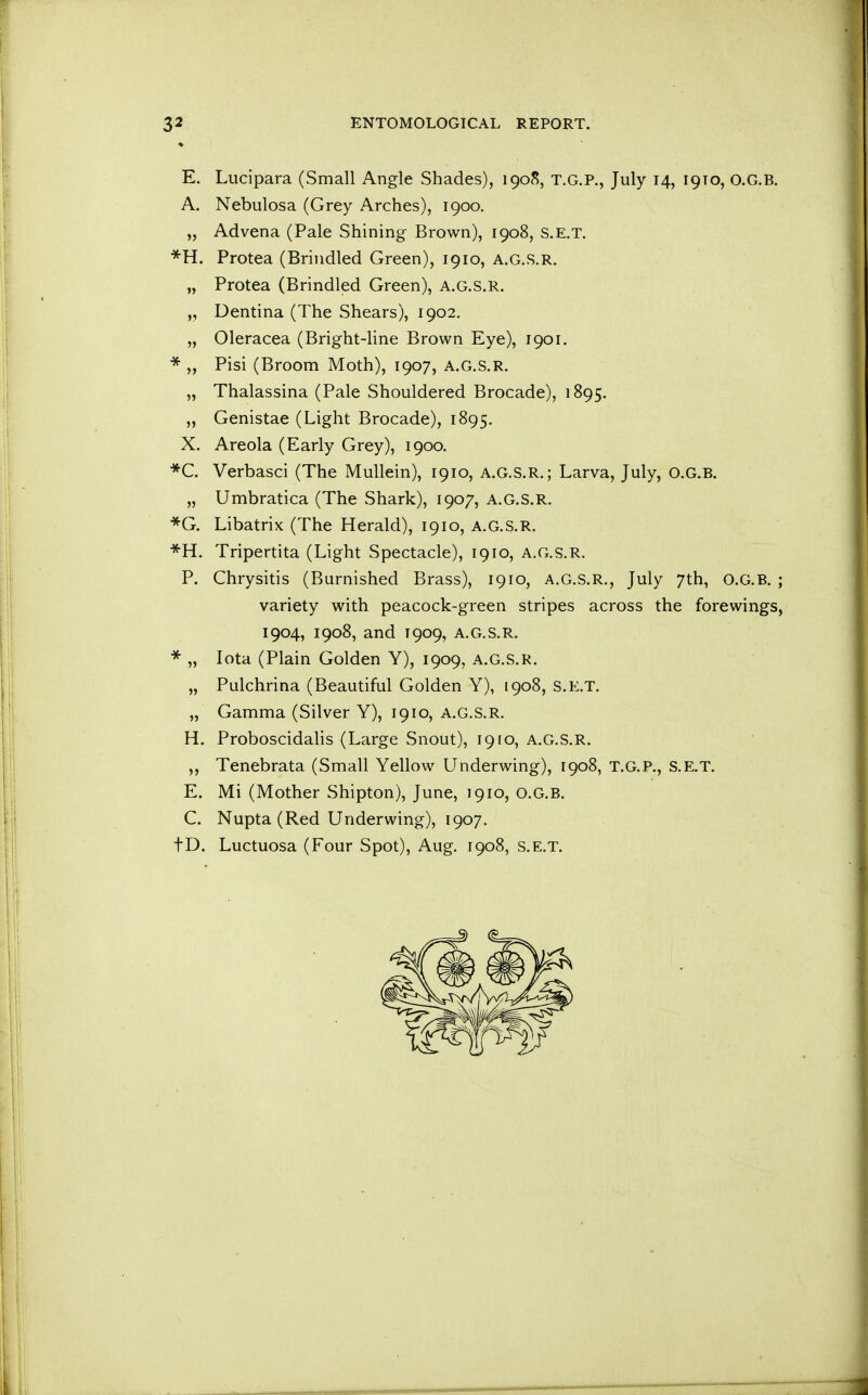 E. Lucipara (Small Angle Shades), 1908, T.G.P., July 14, 1910, O.G.B. A. Nebulosa (Grey Arches), 1900. „ Advena (Pale Shining Brown), 1908, S.E.T. *H. Protea (Brindled Green), 1910, a.g.s.r. „ Protea (Brindled Green), A.G.S.R. „ Dentina (The Shears), 1902. „ Oleracea (Bright-line Brown Eye), 1901. * „ Pisi (Broom Moth), 1907, A.G.S.R. „ Thalassina (Pale Shouldered Brocade), 1895. „ Genistae (Light Brocade), 1895. X. Areola (Early Grey), 1900. *C. Verbasci (The Mullein), 1910, A.G.S.R.; Larva, July, O.G.B. „ Umbratica (The Shark), 1907, A.G.S.R. *G. Libatrix (The Herald), 1910, A.G.S.R. *H. Tripertita (Light Spectacle), 1910, a.g.s.r. P. Chrysitis (Burnished Brass), 1910, A.G.S.R., July 7th, O.G.B. ; variety with peacock-green stripes across the forewings, 1904, 1908, and 1909, A.G.S.R. * „ Iota (Plain Golden Y), 1909, A.G.S.R. „ Pulchrina (Beautiful Golden Y), 1908, S.E.T. „ Gamma (Silver Y), 1910, A.G.S.R. H. Proboscidalis (Large Snout), 19ro, A.G.S.R. „ Tenebrata (Small Yellow Underwing), 1908, T.G.P., S.E.T. E. Mi (Mother Shipton), June, 1910, O.G.B. C. Nupta (Red Underwing), 1907. tD. Luctuosa (Four Spot), Aug. 1908, S.E.T.