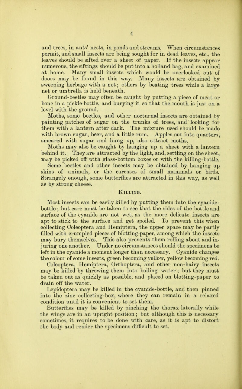 and trees, in ants' nests, in ponds and streams. When circumstances permit, and small insects are being sought for in dead leaves, etc., the leaves should be sifted over a sheet of paper. If the insects appear numerous, the siftings should be put into a holland bag, and examined at home. Many small insects which would be overlooked out of doors may be found in this way. Many insects are obtained by sweeping herbage with a net; others by beating trees while a large net or umbrella is held beneath. Ground-beetles may often be caught by putting a piece of meat or bone in a pickle-bottle, and burying it so that the mouth is just on a level with the ground. Moths, some beetles, and other nocturnal insects are obtained by painting patches of sugar on the trunks of trees, and' looking for them with a lantern after dark. The mixture used should be made with brown sugar, beer, and a little rum. Apples cut into quarters, smeared with sugar and hung up, also attract moths. Moths may also be caught by hanging up a sheet with a lantern behind it. They are attracted by the light, and, settling on the sheet, may be picked off with glass-bottom boxes or with the killing-bottle. Some beetles and other insects may be obtained by hanging up skins of animals, or the carcases of small mammals or birds. Strangely enough, some butterflies are attracted in this way, as well as by strong cheese. Killing. Most insects can be easily killed by putting them into the cyanide- bottle ; but care must be taken to see that the sides of the bottle and surface of the cyanide are not wet, as the more delicate insects are apt to stick to the surface and get spoiled. To prevent this when collecting Coleoptera and Hemiptera, the upper space may be partly filled with crumpled pieces of blotting-paper, among which the insects may bury themselves. This also prevents them rolling about and in- juring one another. Under no circumstances should the specimens be left in the cyanide a moment longer than necessary. Cyanide changes the colour of some insects, green becoming yellow, yellow becoming red. Coleoptera, Hemiptera, Orthoptera, and other non-hairy insects may be killed by throwing them into boiling water ; but they must be taken out as quickly as possible, and placed on blotting-paper to drain off the water. Lepidoptera may be killed in the cyanide-bottle, and then pinned into the zinc collecting-box, where they can remain in a relaxed condition until it is convenient to set them. Butterflies may be killed by pinching the thorax laterally while the wings are in an upright position; but although this is necessary sometimes, it requires to be done with care, as it is apt to distort the body and render the specimens difficult to set.