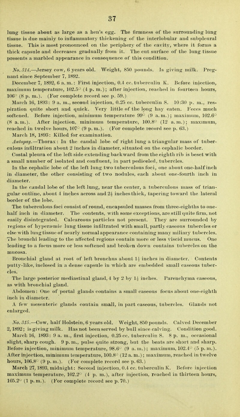 lung tissue about as large as a ben's egg. Tbe firmness of tbe surrounding lung tissue is due mainiy to inflammatory tliickening of tbe interlobular and subplenral tissue. Tbis is most pronounced on tbe peripbery of tbe cavity, wbere it forms a tbick capsule and decreases gradually from it. Tbe cut surface of tbe lung tissue presents a marbled appearance in consequence of tbis condition. No. 314.—Jersey cow, 6 years old. Weigbt, 850 pounds. Is giving milk, l^reg- nant since September 7, 1892. December 7, 1892, 6 a.m.: First injection, 0.4 cc. tuberculin K. Before injection, maximum temperature, 102.5^ (4 p. m.); after injection, readied in fourteen bours, 106'^' (8 p. m.). (For complete record see p. 59.) Marcb 16, 1893: 9 a. m., second injection, 0.25 cc. tuberculin S. 10:30 p. m., res- piration quite sbort and quick. Very little of tbe long bay eaten. Feces mucb softened. Before injection, minimum temperature 99° (9 a.m.); maximum, 102.6° (8 a.m.). After injection, minimum temperature, 100.8° (12 a.m.); maximum, reacbed in twelve bours, 107° (9 p. m.). (For complete record see p. 63.) Marcb 18, 1893: Killed for examination. Autopsy.—Tborax: In tbe caudal lobe of rigbt lung a triangular mass of tuber- culous infiltration about 2 incbes in diameter, situated on tbe cepbalic border. Costal pleura of the left side extending backward from tbe eigbtb rib is beset witb a small number of isolated and confluent, in part pediceled, tubercles. In tbe cepbalic lobe of tbe left lung two tuberculous foci, one about one-balf incb in diameter, tbe otber consisting of two nodules, eacb about one-fourtb incb in diameter. In tbe caudal lobe of tbe left lung, near tbe center, a tuberculous mass of trian- gular outline, about 4 incbes across and 2^ incbes tbick, tapering toward tbe lateral border of tbe lobe. Tbe tuberculous foci consist of round, encapsuled masses from tbree-eigbtbs to one- balf incb in diameter. Tbe contents, witb some exceptions, are still quite firm, not easily disintegrated. Calcareous particles not present. Tliey are surrounded by regions of bypera^niic lung tissue infiltrated witb small, partly caseous tubercles or else with lungtissueof nearly normal appearance containing many miliary tubercles. The broncbi leading to tbe affected regions contain more or less viscid mucus. One leading to a focus more or less softened and broken down contains tubercles on tbe mucosa. Broncliial gland at root of left broncbus about 1| incbes in diameter. Contents putty-like, inclosed in a dense capsule in wbicb are embedded small caseous tuber- cles. Tbe large posterior mediastinal gland, 4 by 2 by 1^ incbes. Parencbyma caseous, as witb broncbial gland. Abdomen: One of portal glands contains a small caseous focus about one-eigbtb incb in diameter. A few mesenteric glands contain small, in part caseous, tubercles. Glands not enlarged. No. 315.—Cow, balf Holstein, 6 years old. Weigbt, 850 pounds. Calved December 2,1892; is giving milk. Has not been served by bull since calving. Condition good. Marcb 16, 1893: 9 a. m., first injection, 0.25 cc. tuberculin S. 8 p. m., occasional sligbt, sbarp cougb. 9 p. m., jiulse quite strong, but tbe beats are sbort and sliarp. Before injection, minimum temperature, 98.6° (9 a. m.); maximum, 102.4° (5 p. m.). After injection, minimum temperature, 100.8° (12 a. m.); maximum, reacbed in twelve hours, 106.8° (9 p. m.). (For complete record see p. 63.) Marcb 27,1893, midnigbt: Second injection, 0.4 cc. tuberculin K. Before injection maximum temperature, 102.2° (4 p. ra.), after injection, reacbed in thirteen bours, 105.2° (1 p. m.). (For complete record see p. 70.)