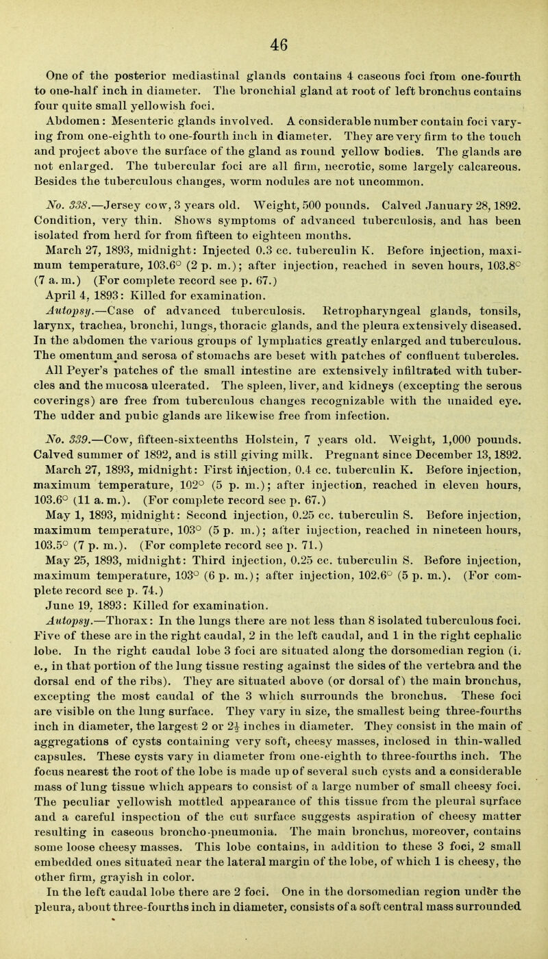 One of the posterior mediastinal glands contains 4 caseous foci from one-fonrth to one-half inch in diameter. The bronchial gland at root of left bronchns contains four quite small yellowish foci. Abdomen: Mesenteric glands involved. A considerable number contain foci vary- ing from one-eighth to one-fourth inch in diameter. They are very firm to the touch and project above the surface of the gland as round yellow bodies. The glands are not enlarged. The tubercular foci are all firm, necrotic, some largely calcareous. Besides the tuberculous changes, worm nodules are not uncommon. No. 338.—Jersey cow, 3 years old. Weight, 500 pounds. Calved January 28,1892. Condition, very thin. Shows symptoms of advanced tuberculosis, and has been isolated from herd for from fifteen to eighteen months. March 27, 1893, midnight: Injected 0.3 cc. tuberculin K. Before injection, maxi- mum temperature, 103.6° (2 p. m.); after injection, reached in seven hours, 103.8° (7 a. m.) (For complete record see p. 67.) April 4, 1893: Killed for examination. Autopsy.—Case of advanced tuberculosis. Retropharyngeal glands, tonsils, larynx, trachea, bronchi, lungs, thoracic glands, and the pleura extensively diseased. In the abdomen the various groups of lymphatics greatly enlarged and tuberculous. The omentum^and serosa of stomachs are beset with patches of confluent tubercles. All Peyer's patches of the small intestine are extensively infiltrated with tuber- cles and the mucosa ulcerated. The spleen, liver, and kidneys (excepting the serous coverings) are free from tuberculous changes recognizable with the unaided eye. The udder and pubic glands are liJsewise free from infection. No. 339.—Cow, fifteen-sixteenths Holstein, 7 years old. Weight, 1,000 pounds. Calved summer of 1892, and is still giving milk. Pregnant since December 13,1892. March 27, 1893, midnight: First injection, 0.4 cc. tuberculin K. Before injection, maximum temperature, 102° (5 p. m.); after injection, reached in eleven hours, 103.6° (11 a. m.). (For complete record see p. 67.) May 1, 1893, midnight: Second injection, 0.25 cc. tuberculin S. Before injection, maximum temperature, 103° (5 p. m.); alter injection, reached in nineteen hours, 103.5° (7 p. m.). (For complete record see i>. 71.) May 25, 1893, midnight: Third injection, 0.25 cc. tuberculin S. Before injection, maximum temperature, 103° (6 p. m.); after injection, 102.6° (5 p. m.). (For com- plete record see p. 74.) June 19. 1893: Killed for examination. Autopsy.—Thorax: In the lungs there are not less than 8 isolated tuberculous foci. Five of these are in the right caudal, 2 in the left caudal, and 1 in the right cephalic lobe. In the right caudal lobe 3 foci are situated along the dorsomedian region (i. e., in that portion of the lung tissue resting against the sides of the vertebra and the dorsal end of the ribs). They are situated above (or dorsal of) the main bronchus, excepting the most caudal of the 3 which surrounds the bronchus. These foci are visible on the lung surface. They vary in size, the smallest being three-fourths inch in diameter, the largest 2 or 2^ inches in diameter. They consist in the main of aggregations of cysts containing very soft, cheesy masses, inclosed in thin-walled capsules. These cysts vary in diameter from one-eighth to three-fourths inch. The focus nearest the root of the lobe is made up of several such cysts and a considerable mass of lung tissue which appears to consist of a largo number of small cheesy foci. The peculiar yellowish mottled api^earance of this tissue from the pleural surface and a careful inspection of the cut surface suggests aspiration of cheesy matter resulting in caseous broncho-pneumonia. The main bronchus, moreover, contains some loose cheesy masses. This lobe contains, in addition to these 3 foci, 2 small embedded ones situated near the lateral margin of the lobe, of which 1 is cheesy, the other firm, grayish in color. In the left caudal lobe there are 2 foci. One in the dorsomedian region undfer the pleura, about three-fourths inch in diameter, consists of a soft central mass surrounded