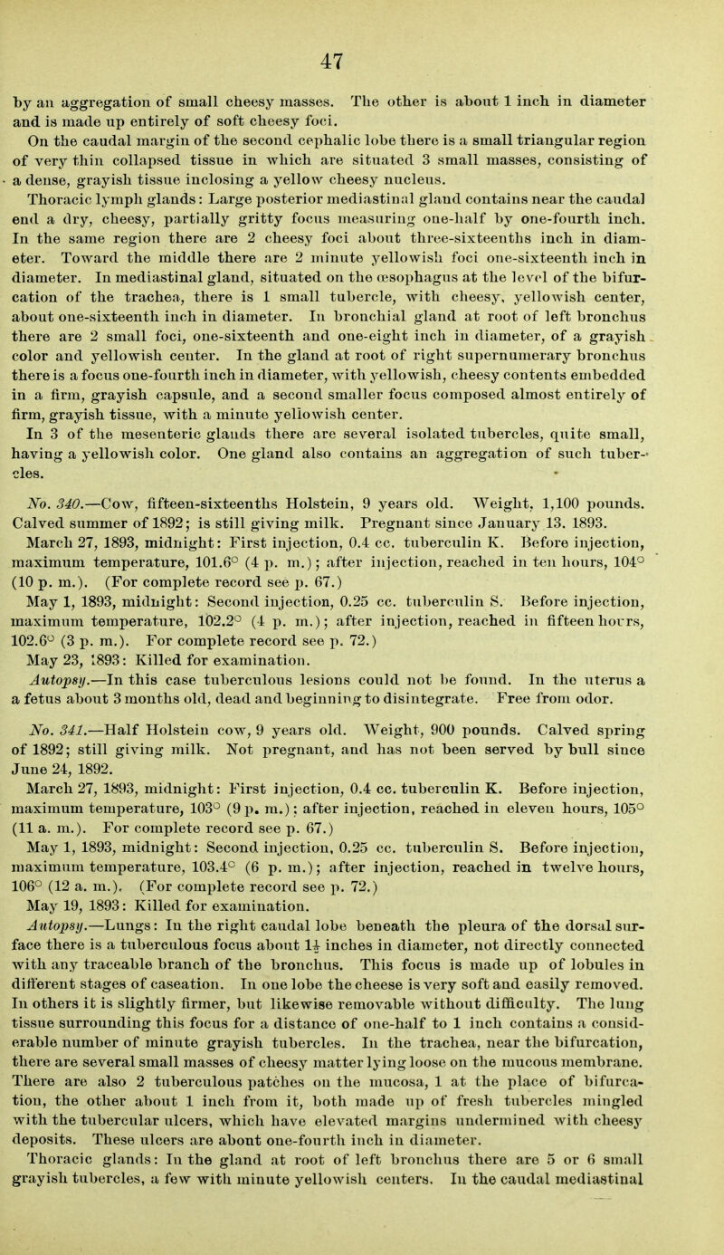 by an aggregation of small cheesy masses. The other is about 1 inch in diameter and is made up entirely of soft cheesy foci. On the caudal margin of the second cephalic lobe there is a small triangular region of very thin collapsed tissue in which are situated 3 small masses, consisting of a dense, grayish tissue inclosing a yellow cheesy nucleus. Thoracic lymph glands: Large posterior mediastinal gland contains near the caudal end a dry, cheesy, partially gritty focus measuring one-half by one-fourth inch. In the same region there are 2 cheesy foci about three-sixteenths inch in diam- eter. Toward the middle there are 2 minute yellowish foci one-sixteenth inch in diameter. In mediastinal gland, situated on the oesophagus at the level of the bifur- cation of the trachea, there is 1 small tubercle, with cheesy, yellowish center, about one-sixteenth inch in diameter. In bronchial gland at root of left bronchus there are 2 small foci, one-sixteenth and one-eight inch iu diameter, of a grayish color and yellowish center. In the gland at root of right supernumerary bronchus there is a focus one-fourth inch in diameter, with ^^ellowish, cheesy contents embedded in a firm, grayish capsule, and a second smaller focus composed almost entirely of firm, grayish tissue, with a minute yellowish center. In 3 of the mesenteric glands there are several isolated tubercles, quite small, having a yellowish color. One gland also contains an aggregation of such tuber-' cles. No. 340.—Cow, fifteen-sixteenths Holstein, 9 years old. Weight, 1,100 pounds. Calved summer of 1892; is still giving milk. Pregnant since January 13. 1893. March 27, 1893, midnight: First injection, 0.4 cc. tuberculin K. Before injection, maximum temperature, 101.6° (4 p. m.); after injection, reached in ten hours, 104° (10 p. m.). (For complete record see p. 67.) May 1, 1893, midnight: Second injection, 0.25 cc. tuberculin S. Before injection, maximum temperature, 102.2° (4 p. m.); after injection, reached in fifteen hours, 102.6° (3 p. m.). For complete record see p. 72.) May 23, 1893: Killed for examination. Autopsy.—In this case tuberculous lesions could not be found. In the uterus a a fetus about 3 months old, dead and beginning to disintegrate. Free from odor. No. 341.—Half Holstein cow, 9 years old. Weight, 900 pounds. Calved spring of 1892; still giving milk. Not pregnant, and has not been served by bull since June 24, 1892. March 27, 1893, midnight: First injection, 0.4 cc. tuberculin K. Before injection, maximum temperature, 103° (9 p. m.): after injection, reached in eleven hours, 105° (11 a. m.). For complete record see p. 67.) May 1, 1893, midnight: Second injection, 0.25 cc. tuberculin S. Before injection, maximum temperature, 103.4° (6 p.m.); after injection, reached in twelve hours, 106° (12 a. m.), (For complete record see p. 72.) May 19, 1893: Killed for examination. Autopsy.—Lungs: In the right caudal lobe beneath the pleura of the dorsal sur- face there is a tuberculous focus about 1+ inches in diameter, not directly connected with any traceable branch of the bronchus. This focus is made up of lobules in difi:erent stages of caseation. In one lobe the cheese is very soft and easily removed. In others it is slightly firmer, but likewise removable without difidculty. The lung tissue surrounding this focus for a distance of one-half to 1 inch contains a consid- erable number of minute grayish tubercles. In the trachea, near the bifurcation, there are several small masses of cheesy matter lying loose on the mucous membrane. There are also 2 tuberculous patches on the mucosa, 1 at the place of bifurca- tion, the other about 1 inch from it, both made up of fresh tubercles mingled with the tubercular ulcers, which have elevated margins undermined Avith cheesy deposits. These ulcers are about one-fourth inch in diameter. Thoracic glands: In the gland at root of left bronchus there are 5 or 6 small grayish tubercles, a few with minute yellowish centers. In the caudal mediastinal