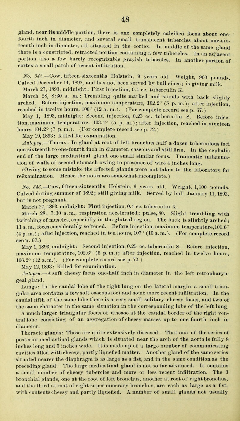 gland, near its middle portion, there is one completely calcified focus about one- fourth inch in diameter, and several small translucent tubercles about one-six- teenth inch in diameter, all situated in the cortex. In middle of the same gland there is a constricted, retracted portion containing a few tubercles. In an adjacent portion also a few barely recognizable grayish tubercles. In another portion of cortex a small i)atch of recent infiltration, ^o. 342—Covr, fifteen sixteenths Holstein, 9 years old. Weight, 900 pounds. Calved December 14, 1892, and has not been served by bull since; is giving milk. March 27, 1893, midnight: First injection, 0.4 cc. tuberculin K. March 28, 8:30 a. m.: Trembling quite marked and stands with back slighly arched. Before injection, maximum temperature, 102.2° (5 p. m.),- after injection, reached in twelve hours, 106° (12 a. m.). (For complete record see p. 67.) May 1, 1893, midnight: Second injection, 0.25 cc. tuberculin S. Before injec- tion, maximum temperature, 103.4° (5 p. m.); after injection, reached in nineteen hours, 104.2° (7 p. m.). (For complete record see p. 72.) May 19,1893: Killed for examination. Autopsy.—Thorax: In gland at root of left bronchus half a dozen tuberculous foci one-sixteenth to one-fourth inch in diameter, caseous and still firm. In the cephalic end of the large mediastinal gland one small similar focus. Traumatic inflamma- tion of walls of second stomach owing to presence of wire 4 inches long. (Owing to some mistake the affected glands were not taken to the laboratory for reexamination. Hence the notes are somewhat incomplete.) No. 343.—Cow, fifteen-sixteenths Holstein, 6 years old. Weight, 1,100 pounds. Calved during summer of 1892; still giving milk. Served by bull January 11, 1893, but is not pregnant. March 27,1893, midnight: First injection, 0.4 cc. tuberculin K. March 28: 7:30 a.m., respiration accelerated; pulse, 80. Slight trembling with twitching of muscles, especially in the gluteal region. The back is slightly arched; 11 a. m., feces considerably softened. Before injection, maximum temperature, 101.6° (4 p. m.); after injection, reached in ten hours, 107° (10 a. m.). (For complete record seep. 67.) May 1,1893, midnight: Second injection, 0.25 cc. tuberculin S. Before injection, maximum temperature, 102.6° (6 p.m.); after injection, reached in twelve hours, 106.2° (12 a. m.). (For complete record see p. 72.) May 12,1893: Killed for examination. Autopsy.—A soft cheesy focus one-half inch in diameter in the left retropharyn- geal gland. Lungs: In the caudal lobe of the right lung on the lateral margin a small trian- gular area contains a few soft caseous foci and some more recent infiltration. In the caudal fifth of the same lobe there is a very small solitary, cheesy focus, and two of the same character in the same situation in the corresponding lobe of the left lung, A much larger triangular focus of disease at the caudal border of the right ven- tral lobe consisting of an aggregation of cheesy masses up to one-fourth inch in diameter. Thoracic glands: These are quite extensively diseased. That one of the series of posterior mediastinal glands which is situated near the arch of the aorta is fully 8 inches long and 5 inches wide. It is made up of a large number of communicating- cavities filled with cheesy, partly liquefied matter. Another gland of the same series situated nearer the diaphragm is as large as a fist, and in the same condition as the preceding gland. The large mediastinal gland is not so far advanced. It contains a small number of cheesy tubercles and more or less recent infiltration. The 3 bronchial glands, one at the root of left bronchus, another at root of right bronchus, and the third at root of right supernumerary bronchus, are each as large as a fist, with contents cheesy and partly liquefied. A number of small glands not usually