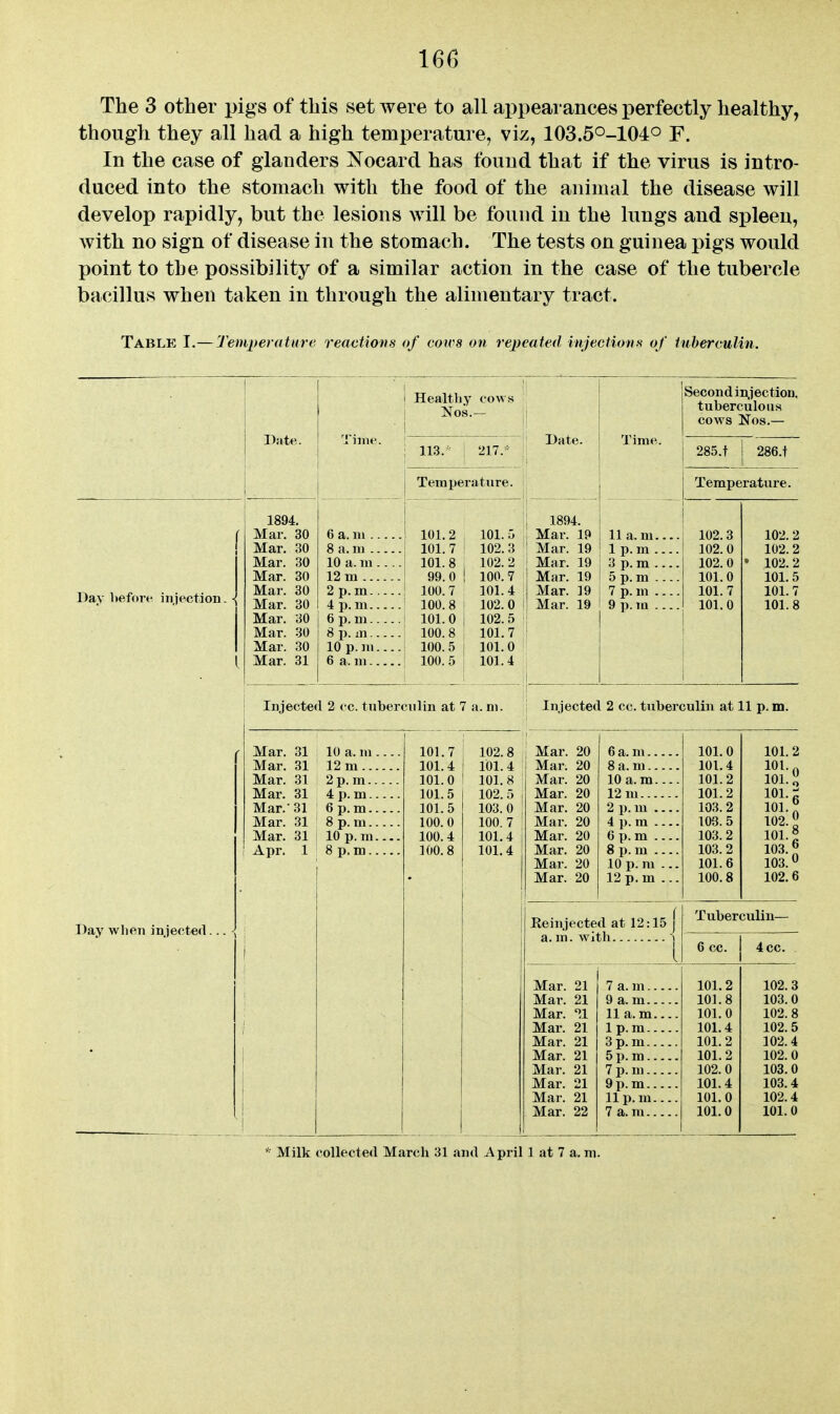 The 3 other pigs of this set were to all appearances perfectly healthy, though they all had a high temperature, viz, 103.5O-104o F. In the case of glanders Nocard has found that if the virus is intro- duced into the stomach with the food of the animal the disease will develop rapidly, but the lesions will be found in the lungs and spleen, Avith no sign of disease in the stomach. The tests on guinea pigs would point to the possibility of a similar action in the case of the tubercle bacillus when taken in through the alimentary tract. Table I.— Tempet ature reactions of coivs on repeated mjections of tuberculin. Date. Time. Healthy cows Nos.— Date. Time. Second iniection, tuberculouH cows Nos.— 113.1 217. 285.t 286.t Temperature. Temperature. l>ay l>efore injection. - 1894. Mar. 30 Mar. 30 Mar. 30 Mar. 30 Mar. 30 Mar. 30 Mar. 30 Mar. 30 Mar. 30 Mar. 31 6 a. ni 8 a. ni 10 a. m .... 12 m 2 p. m 4 p. m 6 p. m 8 p. m 10 p.m 101.2 101.7 101.8 99.0 100.7 100.8 101.0 100.8 100. 5 100.5 101.5 102.3 102.2 100. 7 101.4 102.0 102.5 101.7 101.0 101.4 ; 1894. Mar. 19 ! Mar. 19 Mar. 19 Mar. 19 Mar. 19 Mar. 19 i 11 a. m 1 p. m 3 p. m 5 p. m 7 p. m .... 9 p.m 102.3 102.0 102.0 101.0 101.7 101.0 102.2 102. 2 • 102.2 101.5 101.7 101.8 Injected 2 cc. tuberculin at 7 a. m. : Injected 2 cc. tuberculin at 11 p. m. Day when injected... - Mar. 31 Mar. 31 Mar. 31 Mar. 31 Mar.- 31 Mar. 31 Mar. 31 Apr. 1 10 a. m .... 12 m 2p. m 4 p. m 101.7 101.4 101.0 101.5 101. 5 100.0 100.4 100.8 102.8 101.4 101.8 102. 5 103.0 100.7 101.4 101.4 1 Mar. 20 Mar. 20 Mar. 20 Mar. 20 Mar. 20 Mar. 20 Mar. 20 Mar. 20 Mar. 20 Mar. 20 6 a. m 8 a. m 10 a. m 12m .. . 101.0 101.4 101.2 101.2 103.2 103.5 103.2 103.2 101.6 100.8 101.2 101. 101.6 102. ^ 101.° 103.6 103. *^ 102.6 6 p.m 8 p. m 10 p.m.... 8 p.m 2 p. m 4 p. m 6 p. m 8 p. m 10 p. m ... 12 p.m ... Reinjected at 12:15j Tuberculin— 6 cc. j 4cc. Mar. 21 Mar. 21 Mar. ^1 Mar. 21 Mar. 21 Mar. 21 Mar. 21 Mar. 21 Mar. 21 Mar. 22 7 a. m 9 a. m 11 a. m 1 p.m 3 p. m 5 p.m 7 p. m 9 p.m lip. m 7 a. ra 101.2 101.8 101. 0 101.4 101.2 101.2 102.0 101.4 101.0 101.0 102.3 103.0 102.8 102.5 102.4 102.0 103.0 103.4 102.4 101.0 Milk collected March 31 and April 1 at 7 a. m.