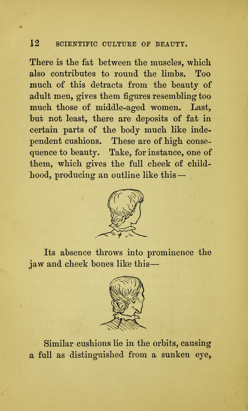 There is the fat between the muscles, which also contributes to round the limbs. Too much of this detracts from the beauty of adult men, gives them figures resembling too much those of middle-aged women. Last, but not least, there are deposits of fat in certain parts of the body much like inde- pendent cushions. These are of high conse- quence to beauty. Take, for instance, one of them, which gives the full cheek of child- hood, producing an outline like this — Its absence throws into prominence the jaw and cheek bones like this— Similar cushions lie in the orbits, causing a full as distinguished from a sunken eye,