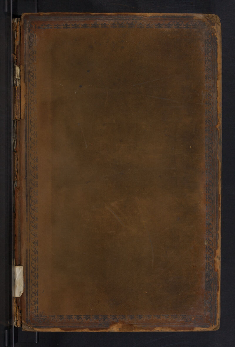 No text description is available for this image