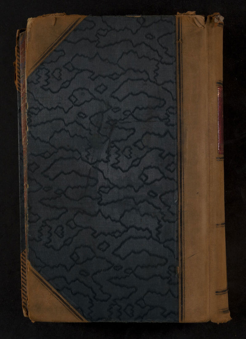 No text description is available for this image