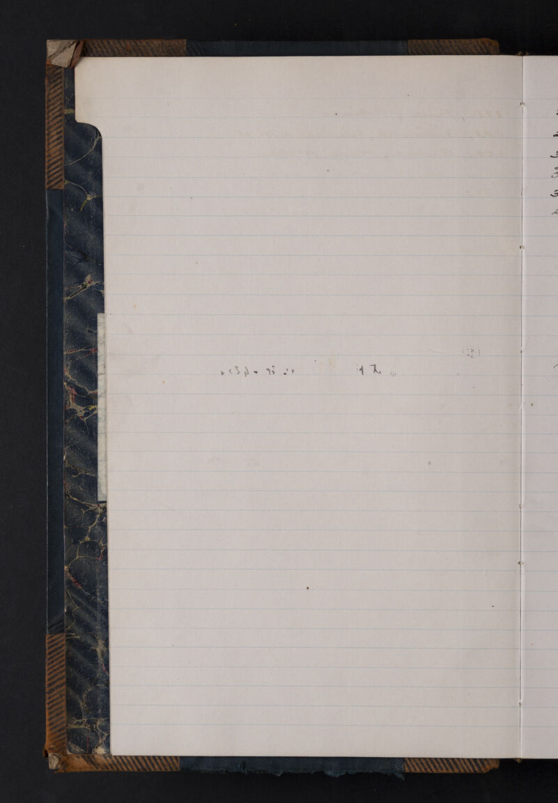 No text description is available for this image