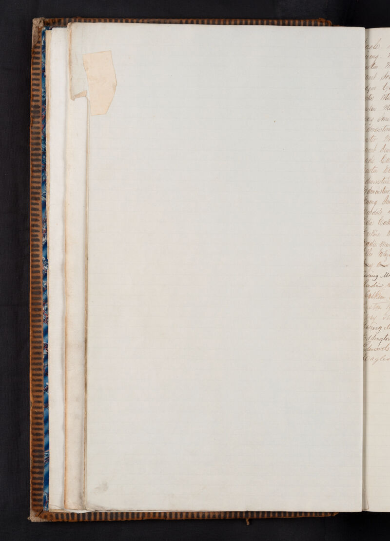 No text description is available for this image