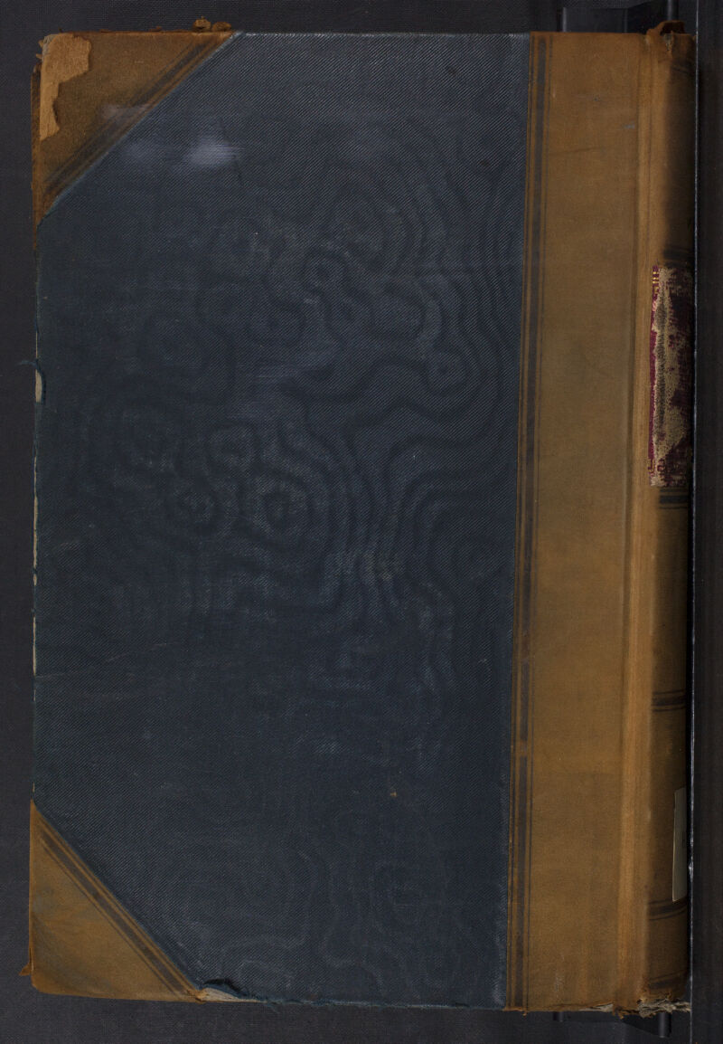 No text description is available for this image