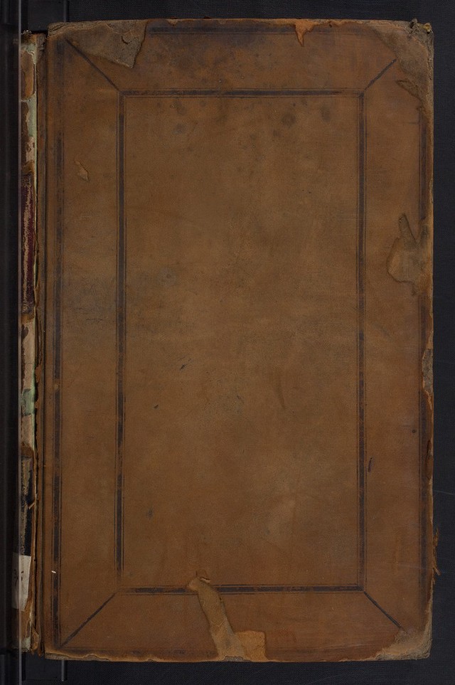 No text description is available for this image