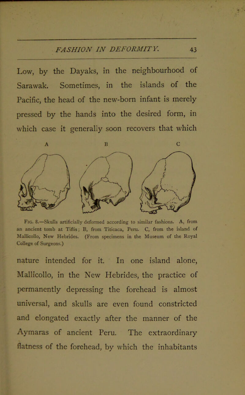 Low, by the Dayaks, in the neighbourhood of Sarawak. Sometimes, in the islands of the Pacific, the head of the new-born infant is merely pressed by the hands into the desired form, in which case it generally soon recovers that which a b c Fig. 8.—Skulls artificially deformed according to similar fashions. A, from an ancient tomb at Tiflis; B, from Titicaca, Peru. C, from the island of Mallicollo, New Hebrides. (From specimens in the Museum of the Royal College of Surgeons.) nature intended for it. In one island alone, Mallicollo, in the New Hebrides, the practice of permanently depressing the forehead is almost universal, and skulls are even found constricted and elongated exactly after the manner of the Aymaras of ancient Peru. The extraordinary flatness of the forehead, by which the inhabitants