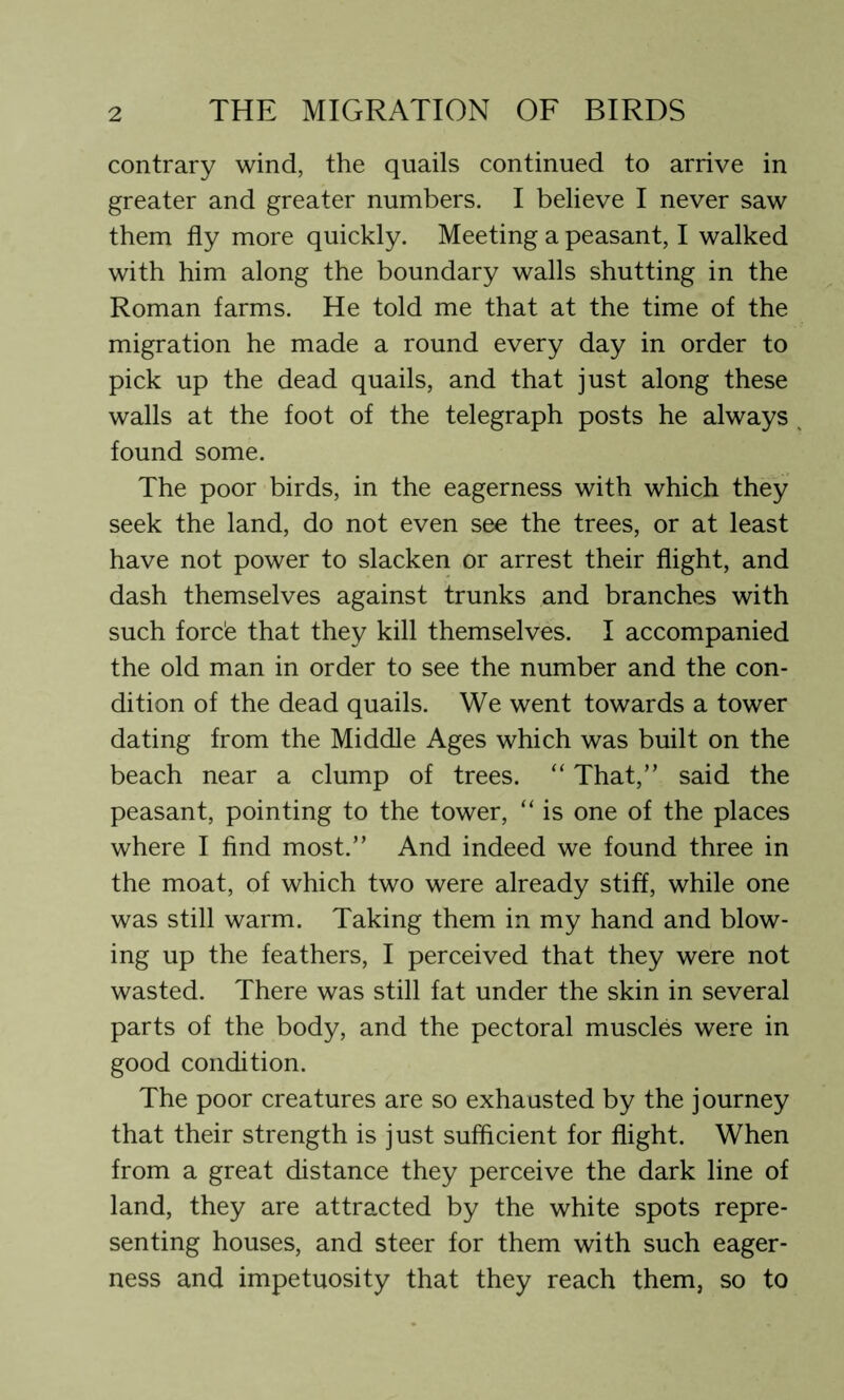 contrary wind, the quails continued to arrive in greater and greater numbers. I believe I never saw them fly more quickly. Meeting a peasant, I walked with him along the boundary walls shutting in the Roman farms. He told me that at the time of the migration he made a round every day in order to pick up the dead quails, and that just along these walls at the foot of the telegraph posts he always found some. The poor birds, in the eagerness with which they seek the land, do not even see the trees, or at least have not power to slacken or arrest their flight, and dash themselves against trunks and branches with such forc'e that they kill themselves. I accompanied the old man in order to see the number and the con- dition of the dead quails. We went towards a tower dating from the Middle Ages which was built on the beach near a clump of trees. “ That,” said the peasant, pointing to the tower, “ is one of the places where I find most.” And indeed we found three in the moat, of which two were already stiff, while one was still warm. Taking them in my hand and blow- ing up the feathers, I perceived that they were not wasted. There was still fat under the skin in several parts of the body, and the pectoral muscles were in good condition. The poor creatures are so exhausted by the journey that their strength is just sufficient for flight. When from a great distance they perceive the dark line of land, they are attracted by the white spots repre- senting houses, and steer for them with such eager- ness and impetuosity that they reach them, so to