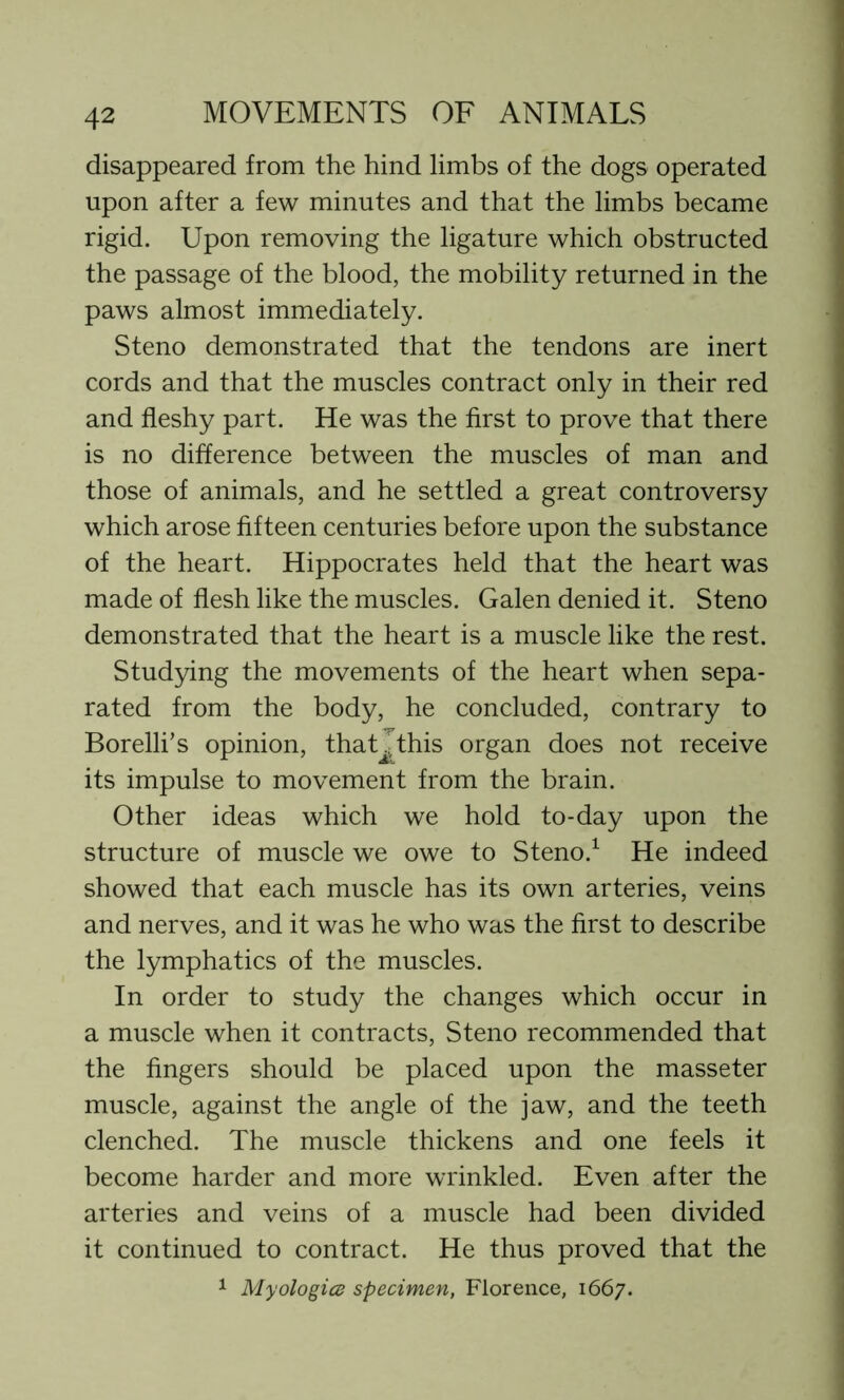 disappeared from the hind limbs of the dogs operated upon after a few minutes and that the limbs became rigid. Upon removing the ligature which obstructed the passage of the blood, the mobility returned in the paws almost immediately. Steno demonstrated that the tendons are inert cords and that the muscles contract only in their red and fleshy part. He was the first to prove that there is no difference between the muscles of man and those of animals, and he settled a great controversy which arose fifteen centuries before upon the substance of the heart. Hippocrates held that the heart was made of flesh like the muscles. Galen denied it. Steno demonstrated that the heart is a muscle like the rest. Studying the movements of the heart when sepa- rated from the body, he concluded, contrary to Borelli’s opinion, thatjthis organ does not receive its impulse to movement from the brain. Other ideas which we hold to-day upon the structure of muscle we owe to Steno.1 He indeed showed that each muscle has its own arteries, veins and nerves, and it was he who was the first to describe the lymphatics of the muscles. In order to study the changes which occur in a muscle when it contracts, Steno recommended that the fingers should be placed upon the masseter muscle, against the angle of the jaw, and the teeth clenched. The muscle thickens and one feels it become harder and more wrinkled. Even after the arteries and veins of a muscle had been divided it continued to contract. He thus proved that the 1 Myologies specimen, Florence, 1667.