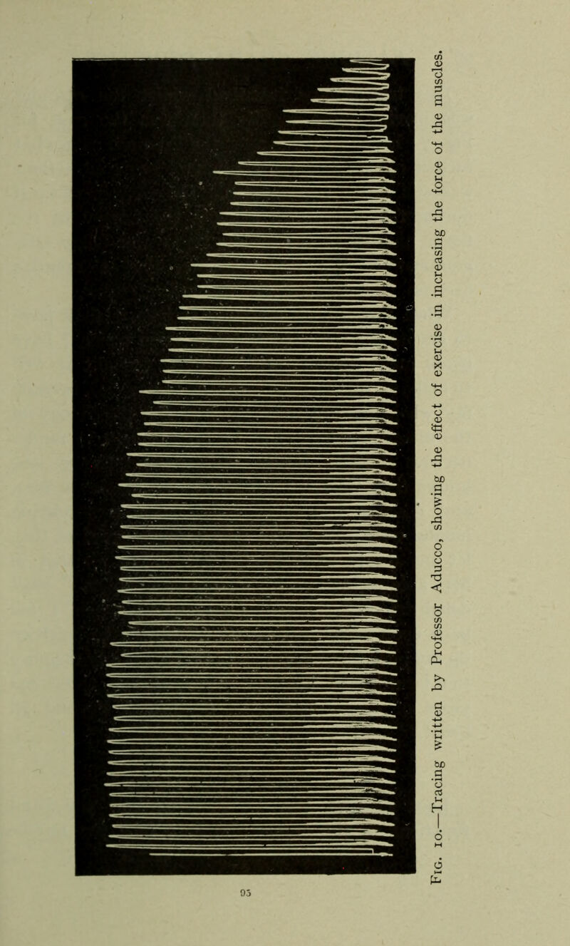 Fig. io.—Tracing written by Professor Aducco, showing the effect of exercise in increasing the force of the muscles.