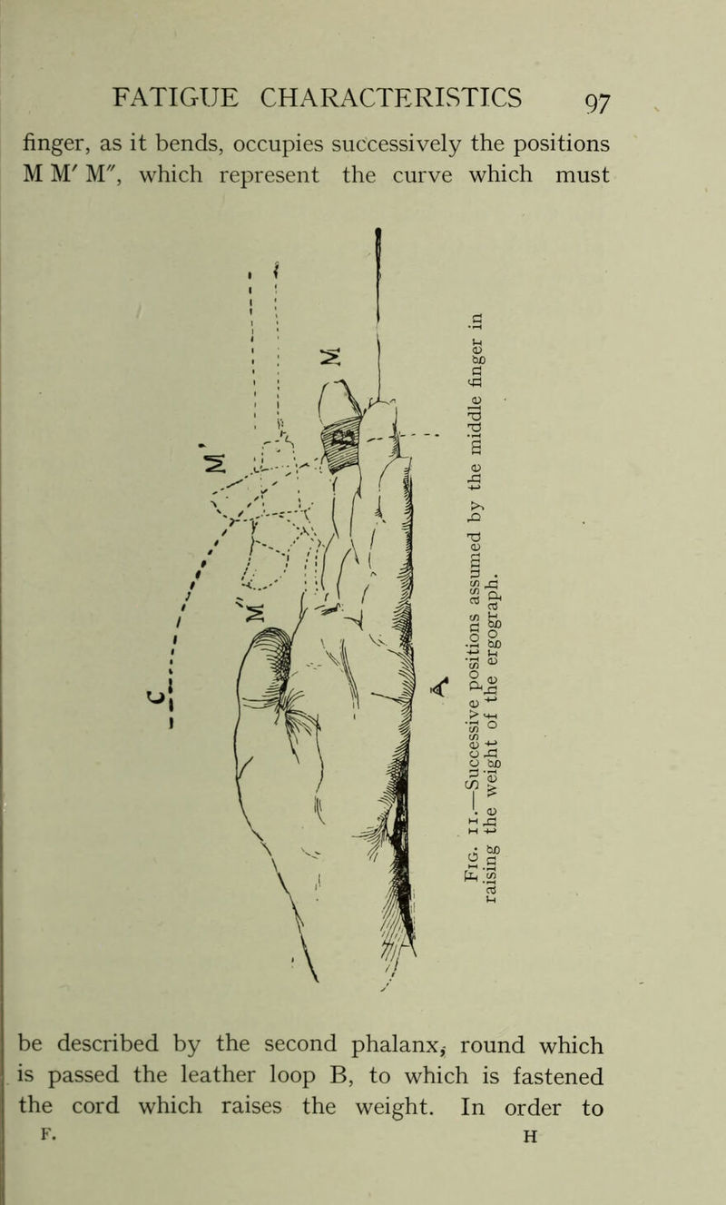 finger, as it bends, occupies successively the positions M M' M, which represent the curve which must <D B p . in sf 11 .y hn O XI O bD be described by the second phalanx,- round which is passed the leather loop B, to which is fastened the cord which raises the weight. In order to f. H