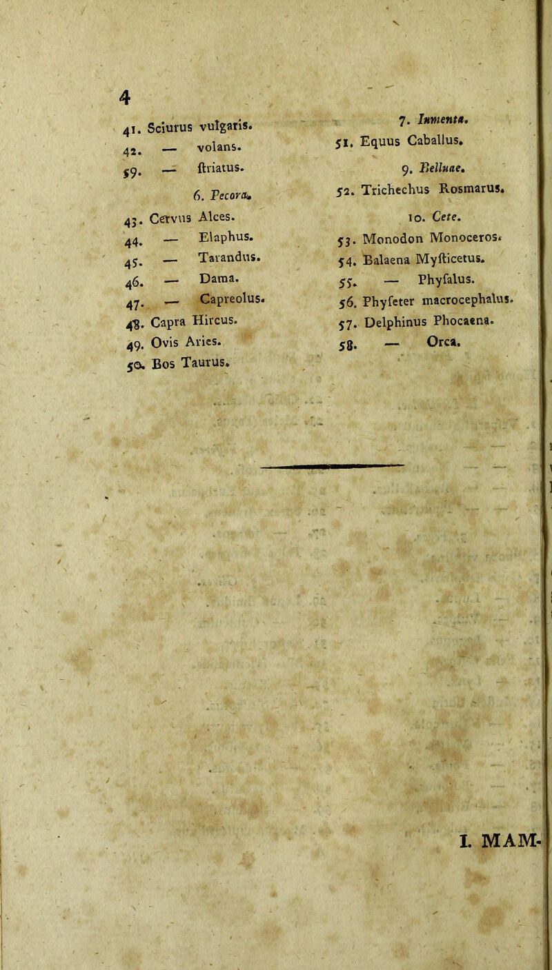 41. Scimus vulgaris. V 7. Imienut, 42, — volans. 51, Equus Caballus, _r ftriatus. 9. Belluae, 6. Fecoriu 52. Trichechus Rosmarus. 4j. Cervus Alces. 10. Cete. ^4, — Elaphus. yj. Monodon Monoceros. — Tavandus. 54, Balaena Myllicetus. 46. — Dama. 55, — Phyfalus. ^ Capreolus. 56, Phyfeter inacrocepbalus. 4'S. Capra Hircus. 57, Delphinus Phocaena. 49, Ovis Aries. 58. — Orca. 50. Bos Taurus. ) \ I. MAM-
