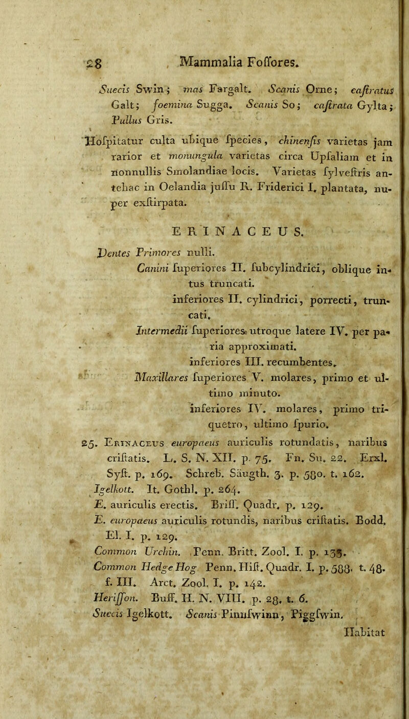 Siiecis Swin; mas Fargalt. Scanis Orne; cajirntus: Galt; joemina Sugga, Scanis So; cajirata Gylta; 1’ullus Gris. Hofpitatur culta uBique fpecies, chinenjis varietas jam rarior et moiiungula varietas circa Upfaliam et in nonnullis Sinolandiae locis. Varietas fylveltris an- tehac in Oelandia juflu R, Friderici I. plantata, nu- per exftirpata. ERINACEUS. JJentes Primores nulli. Canini fuperiores II. fubcylindrici, oblique in- tus truncati. inferiores II. cylindrici, porrecti, trun- cati. Intermedii fuperioresc utroque latere IV. per pa- ria approximati. inferiores III. recumbentes, Blaxillares fuperiores V. molares, primo et ul- timo minuto. inferiores IV. molares, primo tri- quetro, ultimo fpurio. 25. Erinaceus europneus auriculis rotundatis, naribus criftatis. L. S, N. XII. p. 75, Fn. Su. 22. Erxl. Syft. p. 169. Schreb. Siiugth. 3. p. 530. t. 162. Igelkott. It. Gotbl. p, 264. £. auriculis erectis. BrilT, Quadr, p. 129. E. europaeus auriculis rotundis, naribus criftatis. Bodd, EI. I. p. 129. Common Urchin. .Fcnn. Britt. Zool. I. p. 135, Common Hedge Hog Penn. Hilt. Quadr. I. p. 588' 48* f. Ill, Arct, Zool. I. p. 142. Herijfon. Buff. H. N. VIII. p. 23. t. 6. Igelkott. iScnnu Pimifwinn, Piggfwin. Habitat