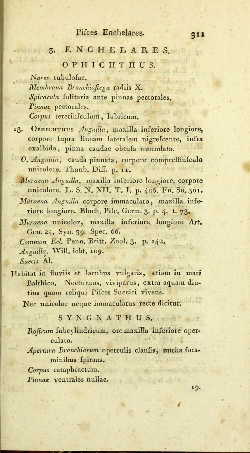 3” 3. E N C H E L A R E S. O P H I C II T II U S. Nares tubulofae. Membrana Branchiojiega radiis X. Spiracula folitaria ante pinnas pectorales, Finnae pectorales. Coifus teretiufculum, luLricum. 13. Ophiciitiius Anguilla, maxilla inferiore longiore, corpore fupra lineam lateralem nigrefcente, infra exalbido, pinna caudae obtufa rotundata. O, Anguilla, cauda pinnata, corpore compreflrufculo unicolore. Thunb. DilT. p. 11, Muraena Anguilla, maxilla inferiore longiore, coi'pore unicolore. L. S. N, XII, T, I. p. 426. Fn. Su. 301. Muraena Anguilla corpore immaculato, maxilla infe- riore longiore. Blocb, Pife. Germ. 3. p. 4. t. 73, Muraena unicolor, maxilla inferiore, longiore Art, Gen. 24, Syn. 39. Spec, 66. Common Eel. Penn. Britt. Zool. 3. p. 142. Anguilla. Will. icht. 109. Suecis Al. Habitat in fluviis et lacubus vulgaris, etiam in mari Balthico. Nocturnus, viviparus, extra aquam diu- tius quam reliqui Pifces Suecici vivens. Nec unicolor neque immaculatus recte dicitur. S Y N G N A T H U S. Rq/trum fubcylindricum, ore maxilla inferiore oper- culato. ■ Apertura Branchiarum operculis claufls, nucha fora^ minibus fpirans. Corpus cataphractum. Finnae ventrales nullae. tp. /