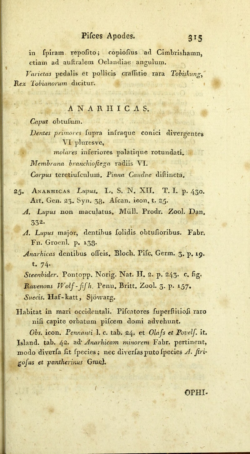 in fpiram repolito; copiofius ad Cimbrishamn, etiam ad auftralem Oelandiae angulum. Varietas pedalis et pollicis crafTitie rara Tohishmg^ Rex Tobianorurn dicitur. 1 ANARIIICAS» Caput olitufum. Dentes primores fupra infraque conici divergentes VI pluresve, molares inferiores palatique rotundati, Membrana hranchiojiega radiis VI. Corpus teretiufculuiii. Pinna Caudae difiincta, 25. Anarhicas Lupus, L. S. N, XII, T. I. p. 430« Alt. Gen. 23. Syn. 33. Afcan. icon, t. 25. A. Lupus non maculatus. Miill. Prodr. Zool. Dan. 332. A. Lupus major, dentibus folidis obtufioribus. Fabr. Fn. Groenl. p. 133. Anarhicas dentibus olTeis, Bloch. Fife. Germ. 3, p, ip. t. 74. Steenbider. Pontopp. Norig. Nat. H. 2. p. 243. c. fig. Ravenous FVolf-fifh. Penn, Britt. Zool. 3. p. 157, Sueeis. Haf-katt, Sjowarg. Habitat in mari occidentali. Pifcatores fuperftitiofl raro nili capite orbatum pifcera domi advehunt. Ohs, icon. Fennanti 1. c. tab. 24. et Olajs et Povelf. it. Island, tab. 42* ad‘ Anarhicam minorem Fabr. pertinent, modo diverfa iit fpecies; nec diyerfasputofpecies A- Jiri~ gofus et pantherinus GraeJ. OPHI-
