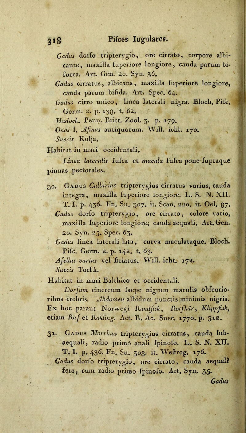Gadus rlorfo tiipterygio, ore cirrato, corpore albi- cante, maxilla fuperiore longiore, cauda parum bi- furca^ Alt. Gen. 2o. Syn. 56. Gadus cirratus, albicans, maxilla fuperiore longiore, cauda parum bifida. Art. Spec, 64. Gadus cirro unico, linea laterali nigra. Bloch, Pifc, ■ Germ. 2. p. i38* G 62. Hadock, Peniv. Britt, Zool. 3. p. 179, Vnos 1. Ajinus antiquorum. Will. icht. 170. ^ Suecis Kolja. Habitat in mari occidentali. Linea lateralis fufca et macula fufca pone fupraquc pinnas pectorales. 30, Gadus Callarias tripterygius cirratus varius, cauda integra, maxilla fuperiore longiore. L. S. N. XII. T. I. p. 436. Fn, Su. 307, it. Scan, 220, it. Oel, 87> Gadus dorfo tripterygio, ore cirrato, colore vario, maxilla fuperiore longiore^ cauda aequali. Art, Gen. 20. Syn. 25, Spec. 63. Gadus linea laterali lata, curva maculataque. Bloch, Pifc. Germ. 2. p. 142, t. 63. Afellus varius vel ftriatus. Will, icht, 172. Suecis Torfk. Habitat in mari Balthico et occidentali. Dorfum cinereum faepe nigrum maculis obfcurlo- ribus crebris. Ahdomen albidum punctis minimis nigris. Ex hoc parant Norwegi Rundjisk, Rotfkdr^ Klippjisk, etiam RaJ et Rdkling. Act. R. Ac. Suec. 1770, p. 312. 31. Gadus Morrhua tripterygius cirratus, cauda fub- ' aequali, radio prime anali fpinofo. L, S. N. XII. T, I. p, 436. Fn, Su, 303. it, Weftrog, 176, Cadus dorfo tripterygio, ore cirrato, cauda aequali fere, cum radio primo fpinofo. Art. Syn. 35. Gadus