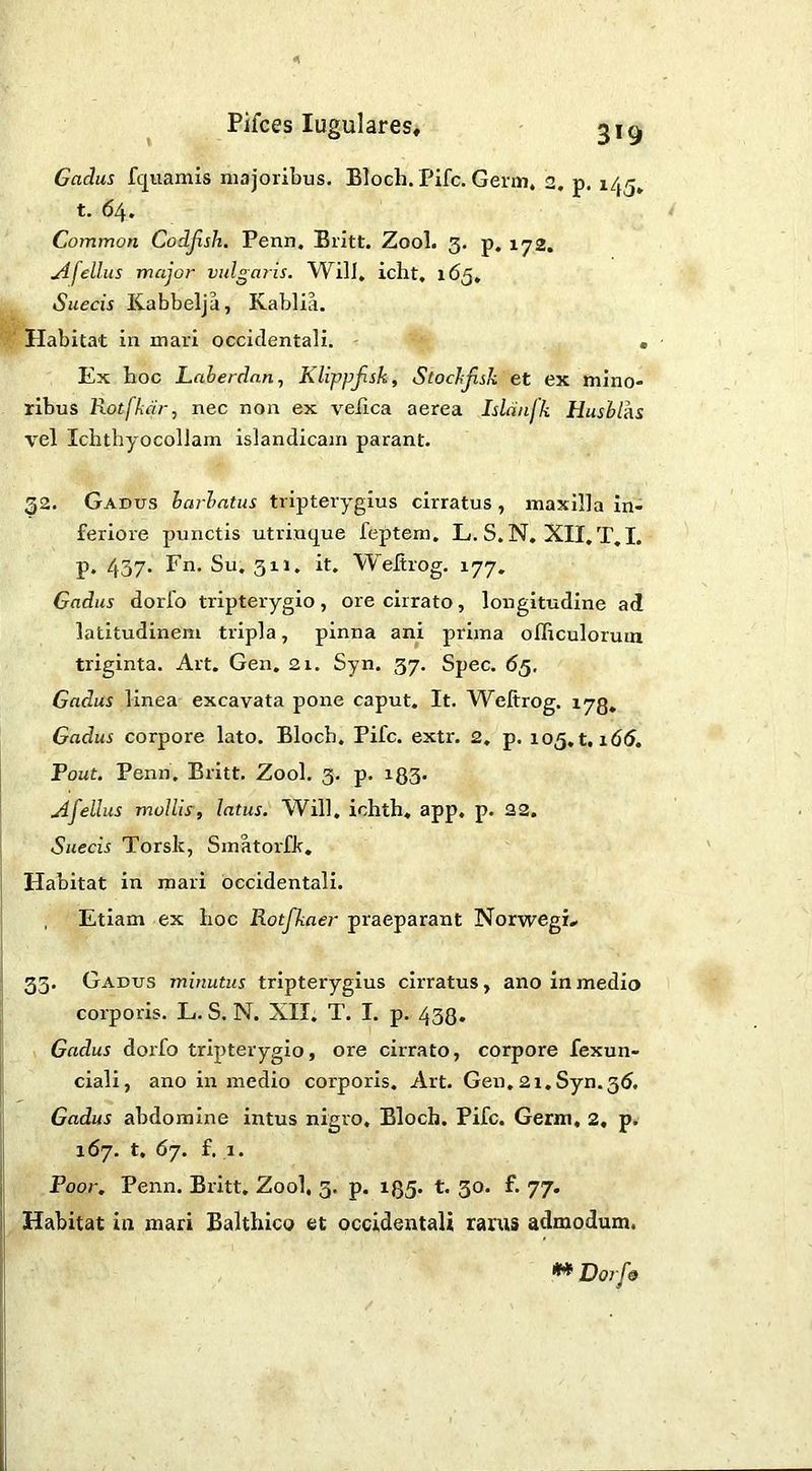 Gadus fquamis majoribus. Bloch. Fife, Germ. 2, p. 145. t. 64. Common Codjlsh, Penn, Britt. Zool. 3. p, 172. Ofellus major vulgaris. Will, icht, 165, Suecis Kabbelja, Kablia. Habitat in mari occidentali. - . Ex hoc Laberdan, Klippfisk, Scocbjlsk et ex mino- ribus Rotfkdr, nec non ex velica aerea Isldnfk Husblks vel Ichthyocollam islandicam parant. 32. Gadus barbatus tripterygius cirratus, maxilla in- feriore punctis utrinque feptem. L. S.N, XII.T.I. p. 437' Su. 311, it. WeJtrog. 177. Gadus dorfo tripterygio, ore cirrato, longitudine ad latitudinem tripla, pinna ani prima ofliculoruin triginta. Art. Gen. 21. Syn. 37. Spec. 65, Gadus linea excavata pone caput. It. Weftrog. 173. Gadus corpore lato. Bloch. Fife. extr. 2. p. 105. t, i6(5. Pout. Penn. Britt. Zool. 3. p. 133. Afellus mollis, latus. Will, ichth. app. p. 22. Suecis Torsk, Sinatorfk, Habitat in mari occidentali. , Etiam ex hoc Rotjkaer praeparant NorwegL 33. Gadus minutus tripterygius cirratus, ano in medio corporis. L. S. N. XII. T. I. p. 433. Gadus dorfo tripterygio, ore cirrato, corpore fexun- ciali, ano in medio corporis. Art. Gen. 21.Syn.35. Gadus abdomine intus nigro. Bloch. Fife. Germ, 2, p. 167. t. 67. £. 1. Poor. Penn. Britt. Zool, 3. p. 135. t. 30. f. 77. Habitat in mari Balthico et occidentali rarus admodum. W Dorfo