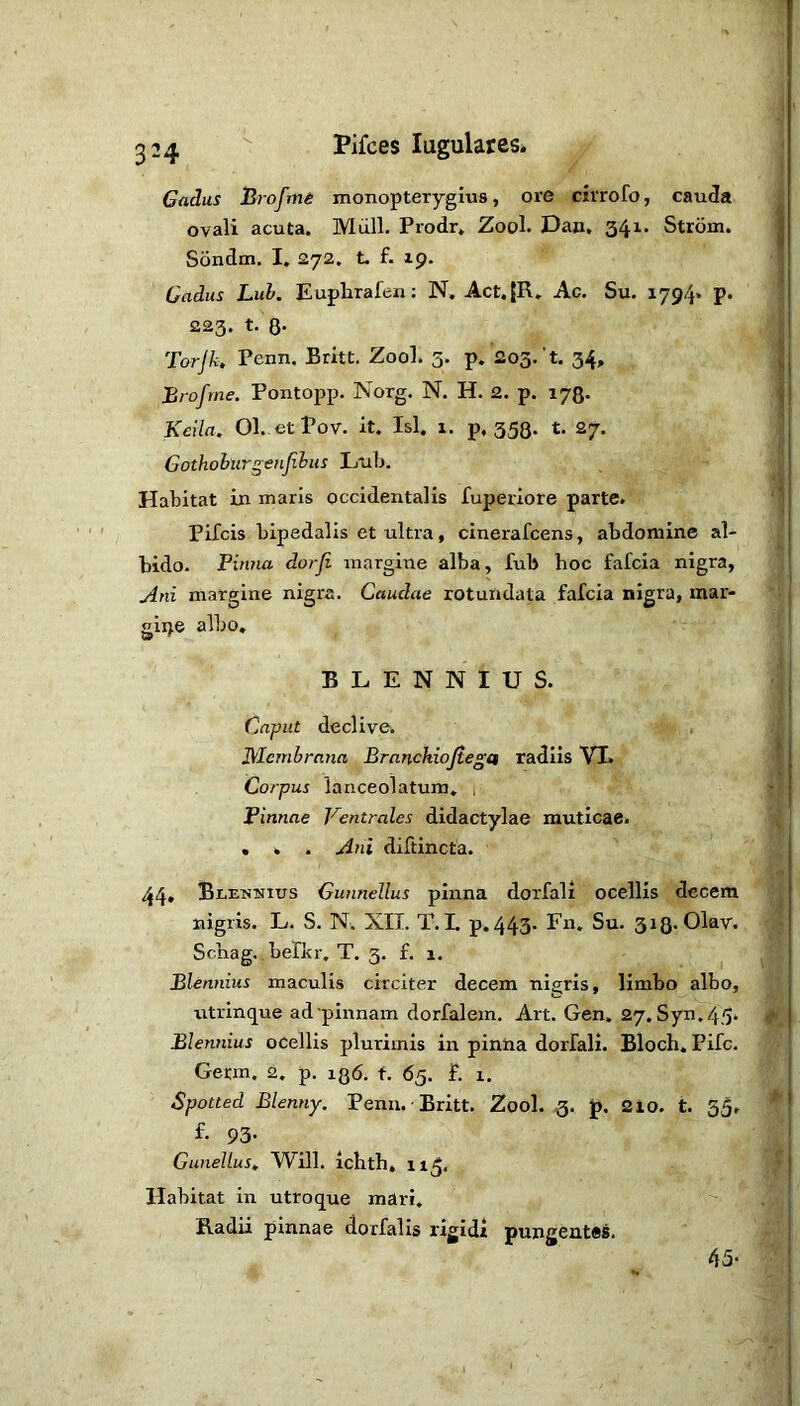 Cadus Hrofm6 monopterygius, ore cirrofo, cauda ovali acuta. Miill. Prodr. Zool. Da», 341. Strom. Sdndm. I. 272. t. f. 19. Gadus hub. Euphrafen: N. Act.JR. Ac. Su. X794* p. 223. t. 8- Torjk. Penn, Britt. Zool. 5. p. 203. t. 34, Brofme. Pontopp. Norg. N. H. 2, p. 178- Keiln. 01. et Pov. it. Isl. 1. p, 358. t, 27. Gothobiirgenjihus Lub. Habitat in maris occidentalis fuperiore parte. Pifcis bipedalis et ultra, cinerafcens, abdomine al- bido. Pinna dorji margine alba, fub hoc fafcia nigra, Ani margine nigra. Caudae rotundata fafcia nigra, mar- giije albo. BLENNIUS. Caput declive. . P/Icmbrnna Brnnchiojiega radiis VI. Corpus lanceolatum. 1 Pinnae Ventrales didactylae muticae. , , . Ani diftincta. 44, Blenuius Gunnellus pinna dorfali ocellis decem nigris. L. S. N. XII. T.I. p.443* Su. 3i8*01®v* Scnag.. belkr, T. 3. f. 1. Biennius maculis circiter decem nigris, limbo albo, iitrinque ad pinnam dorfalem. Art. Gen. 27. Syn.45. Blemiius ocellis plurimis in pinna dorfali. Bloch. Pifc, Germ. 2. p. 136. f. 65. f. 1. Spotted Blenny. Penu. Britt. Zool. 3. p. 2io. t. 55. f- 93- Gunellus, Will, ichth. 115, Habitat in utroque mari. Badii pinnae dorfalis rigidi pungente^. 45-