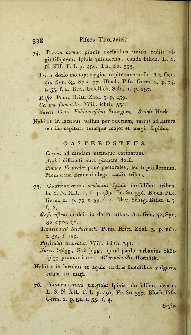 33g Pifces Thoracici; 74, Perca cernua pinnis dorfslibus unitis radiis vl- gintifeptem, fpinis c|uindeciin, cauda bilida. L. S, N. XII. T. I. p. 407. Fn. Su. 335. Perca dorfo monopterygio, capite cavernofo. Art, Gen, 40. Syn. <5g. Spec. 77. Bloch. Fife. Germ, 2. p, 74. t, 53. f. 2. Bell, Gerellfch. Schr. 1. p, 237. Ruffe. Penn. Britt. Zool. 3. p. 259. Cernua jluviatilis. Will, ichth. 334. Suecis. Gers. Fahluncnfihus Snorgers, Scanis Hork. Habitat in lacubus paflim per Sueciam, rarius ad littora marina capitur, tuneque major et magis fapidus. fl‘ GASTEROSTECJS. Corpus ad caudam utrinque carinatum. Aculei diltincti ante pinnam dorll. | Pinnae pone pectorales, fed fupra fiernum, 1 Membrana Branchioitega radiis tribus, 75. Gastekosteus aculeatus fpinis dorfalibus tribus. L. S. N. XII. T. I. p.489. Fn. Su.335. Bloch. Pife. '. Germ. 2. p. 79. t. 53. £. 3. Olav. Schag. Befkr.'t. 3. • f. 2. Gaji^rojieus aculeis in dorfo tribus. Art. Gen. 42, Syn. | 0o. Spec. g6. \ Threejpined Sticklehack. Penn. Britt, Zool. 3. p. q6i. d , t. 50. f. 129, Pifciculus aculeatus. Will, ichth. 341- Succis Spigg, Skitfpigg, quod paulo urbanius Skot- fpigg pronunciatur. fVermelandis Hornfisk, Habitat in lacubus et aquis tardius fluentibus vulgaris, etiam in ma^i. 76. Gasterosteus pungitius fpinis dorfalibus decem. E. S. N. XII. T. I. p. 491. Fn. Su. 337. Bloch. Pile, Germ. 2. p, ga. t. 53. f, 4. Gajis' I