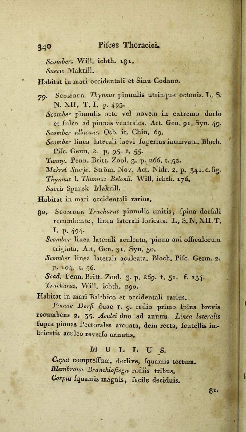 Scomher. Will, iclith. iQi. Suecis Makrill. Habitat in mari occidentali et Sinu Codano. Scomber Thynnus pinnulis utrinque octonis. L. S. N. XII. T. I. p. 493. Scomber pinnulis octo vel novem in extremo dorfo et fulco ad pinnas ventrales. Art. Gen. 91, Syn. 49. Scomber albicans. Osb. it. Chin, 69. Scomber linea laterali laevi fuperius incurvata. Bloch. Fife. Germ. 2. p. 95. t. 55. Tunny. Penn. Britt. Zool. 3. p.^266. t. 52. Makrel Storje. Strom. Nov. Act. Nidr. 2, p. 341. c. fig. Thynnus 1. Thunnus Belonii. Will, ichth. iy6, Suecis Spansk Makrill. Habitat in mari occidentali rarius, go. Scomber Trnchurus pinnulis unitis, fpina dorfali recumbente, linea laterali loricata, L. S.N,XII.T. I. p. 494. Scomber linea laterali aculeata, pinna ani ofRculorum triginta. Art. Gen, 31. Syn, 50. Scomber linea laterali aculeata. Bloch, Fife. Germ. 2» p. 104. t. 56. Scad. Penn. Britt. Zool. 3. p, 269. t. 51. f. 134. Trachurus, Will, ichth. 290. Habitat in mari Balthico et occidentali rarius,. Pinnae Dorji duae I, 9. radio primo fpina brevis recumbens 2, 35, Aculei duo ad anumi Linea lateralis fupra pinnas Pectorales arcuata, deiu recta, fcutellis im- bricatis aculeo reverfo armatis, MULLUS. Caput comprefTum, declive, fquamis tectum. Membrana Branchiojiega radiis tribus. Corpus fquamis magnis, facile deciduis. 81-