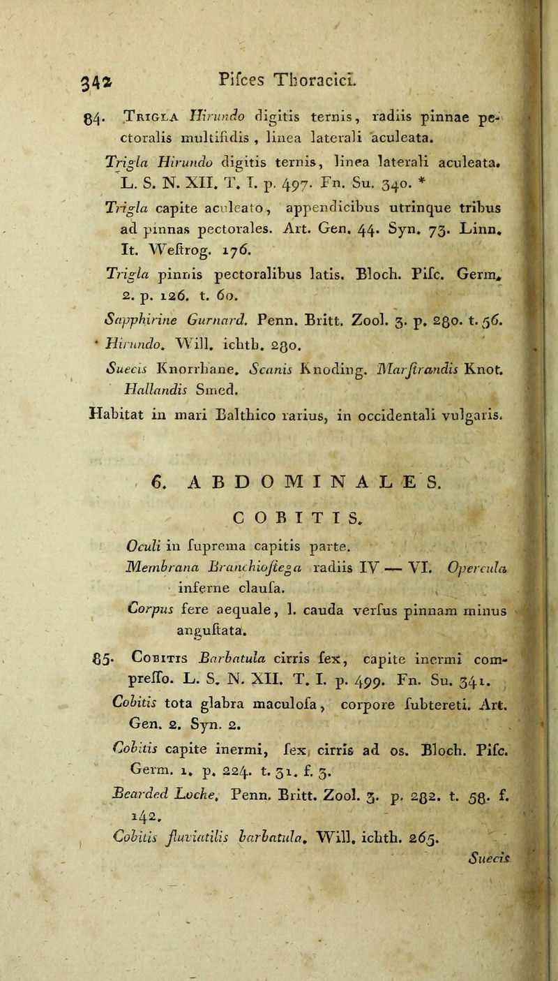 34a 0::j. .Trigla Hirundo <3Igitis ternis, radiis pinnae pe- ctoralis multifidis , linea laterali aculeata. Trigla Hirundo digitis ternis, linea laterali aculeata. L. S. N. XII. T. T. p, 497. Fn. Su. 340. * Trigla capite aculeato, appendicibus utrinque tribus ad pinnas pectorales. Art. Gen. 44. Syn. 73. Linn, It. Weftrog. 176. Trigla pinnis pectoralibus latis. Bloch. Fife. Germ, 2. p. 126. t. 60. Sapphirine Gurnard. Penn. Britt. Zool. 3. p. 200. t. 36. • Hirundo., Will, ichtb. 2Qo. Suecis Knorrhane, Scanis Knoding. Marjirandis Knot. Hallandis Snied. Habitat in mari Balthico rarius, in occidentali vulgaris. 6. ABDOMINALES. C O B I T I S. Oculi in fuprema capitis parte. WLembrana BranchioJie°a radiis IV — VI. Opercula inferne claufa. , ^ Corpus fere aequale, 1. cauda verfus pinnam minus ' anguftata'. 05. CoBiTis Barbatula cirris fex, capite inermi com- preffo. L. S. N. XII. T. I. p. 499* Fn- Su. 341. Cobitis tota glabra maculofa, corpore fubtereti. Art. Gen. 2. Syn. 2. Cobitis capite inermi, fexi cirris ad os. Bloch. Fife. Germ. r. p. 224. t. 31. £ 3. Bearded Loche, Penn, Britt. Zool. 3. p. 232. t. 53. f. 142. I Cobitis Jluviatilis barbatula, W^ill, ichth. 265. Sueeii