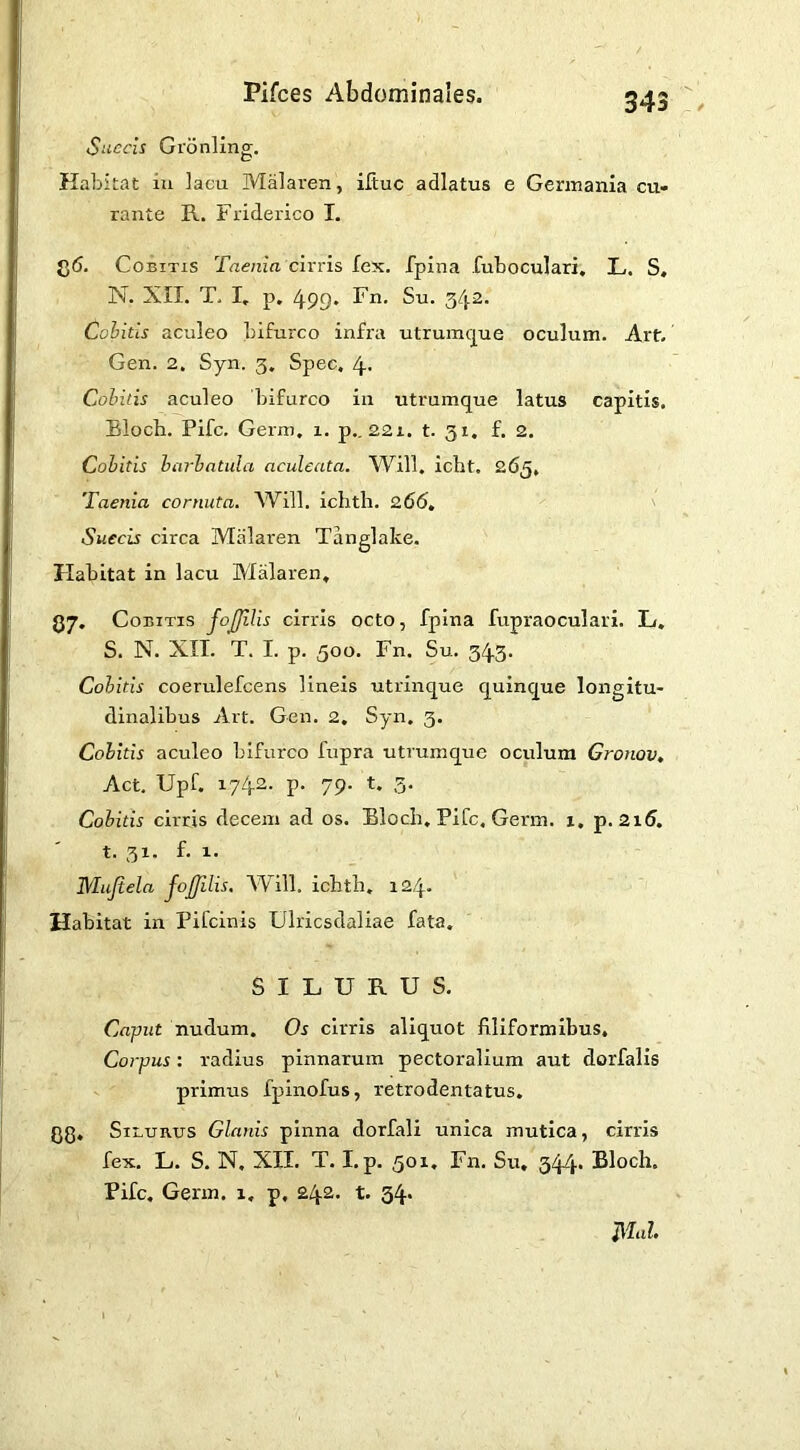 Succis Gronling. Habitat iu lacu Malaren, iftuc adlatus e Germania cu- rante R. Friderico I. CoBiTis Taenia cirris fex. fpina fuboculari, L. S. N. XII. T. I, p. 499. Fn. Su. 342. Cohitis aculeo bifurco infra utrumfjue oculum. Art. Gen. 2, Syn. 3. Spec. 4. Cohitis aculeo 'bifurco in utrumque latus capitis. Blocb. Pifc. Germ, 1. p., 221. t. 51. f. 2. Cohitis hcirhatula aculeata. Will. icht. 265, Taenia cornuta. Will, iclith. 266, Suecis circa Malaren Tanglake. Habitat in lacu Malaren. 87- CoBiTis fojjilis cirris octo, fpina fupraoculari. L. S. N. XII. T. I. p. 500. Fn. Su. 343. Cohitis coerulefcens lineis utrinque quinque longitu- dinalibus Art. Gen. 2. Syn. 3. Cohitis aculeo bifurco fupra utrumque oculum Gronov, Act. Upf. 1742. p- 79- t. 3. Cohitis cirris decem ad os. Bloch, Pifc. Germ, i, p. 2i5. t. 31. f. 1. Mujiela fojjilis. Will, ichth, 124. Habitat in Pifcinis Ulricsdaliae fata. SILURUS. Caput nudum. Os cirris aliquot filiformibus. Corpus: 1'adius pinnarum pectoralium aut dorfalis primus fpinofus, retrodentatus. Pg, Silurus Glanis pinna dorfali unica mutica, cirris fex, L. S. N. XII. T. I.p. 50 X. Fn, Su, 344* Bloch. Pifc, Germ. 1, p, 242. t. 34*