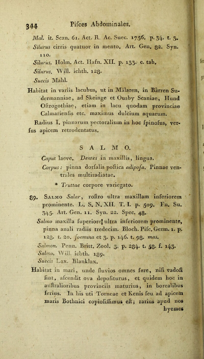 Mai. it. Scan. 6i. Act. R. Ac, Suec. 1756. p, 34.. t, 3, Silurus cirris quatuor in mento. Art. Gen. ga. Syn, 110. Siluriis. Holm. Act. Hafn. XII. p. 133. c. tab. Silurus. ^Aill, iclith. i2Q. Suecis Malil. ' Habitat in variis lacubus, ut in Malaren, in Barren Su- dermanniae, ad Skeinge et Ousby Scaniae, Hand Ofirogotliiae, etiam in lacu quodam provinciae Calmarienfis etc, maximus dulcium aquarum. Radius I, pinnarum pectoralium in hoc fpinofus, ver- fus apicem retrodentatus. SALMO. I Caput laeve. Dentes in maxillis, lingua. Corpus : pinna dorfalis poltica adipofa. Pinnae ven- trales multiradiatae. * Truttae corpore variegato. 89* Salmo Salar^ roftro ultra maxillam inferiorem prominente. L. S, N. XII. T. I. p. 509. Fn. Su, 34.5. Art. Gen. 11. Syn. 22. Spec. 48. Salmo maxilla fuperiorej ultra inferiorem, prominente, pinna anali radiis tredecim. Bloch. Fife. Germ. 1. p. 128. t. 20, joemina et 3, p. 146. t. 93. mas, Salmon. Penn. Britt. Zool. 3. p. 28/f* t. 58- l43* Salmo. Will, ichth. 139. Suecis Lax. Blanklax. Habitat in mari, unde fluvios omnes fere, nlfl tradofi. fint, afeendit ova depoliturus, et quidem hoc in auflralioribus provinciis maturius, in borealibus ferius. In his uti Torneae et Kenis feu ad apicem maris Bothnici copiofllfimus eltj rarius apud nos hyemes