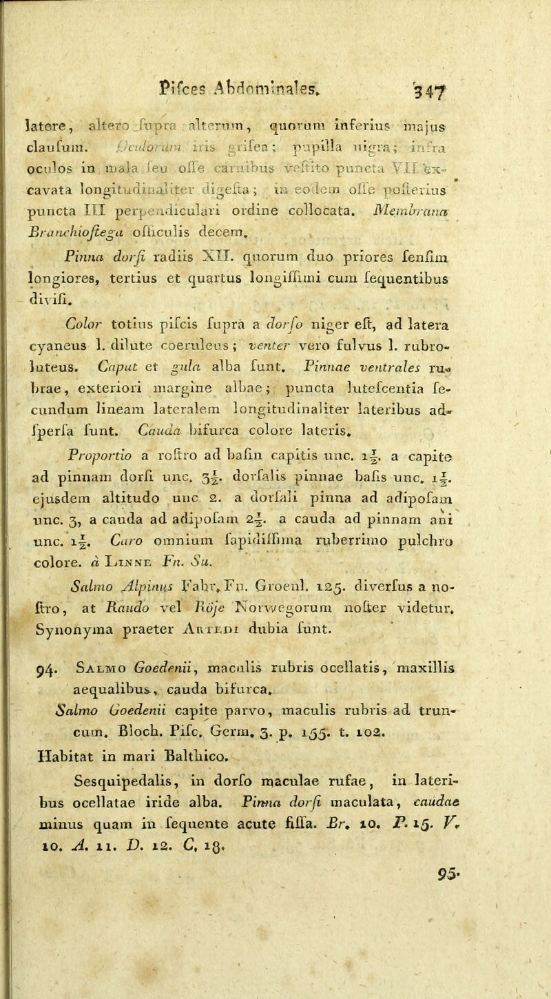 latere, altero .ftipra alternm, cj^uovum Inferius majus claufum. : icithruvH iris e,rifen: riupilla uiera; infra oculos in iiiala leu olle caiaibus voltito puncta VlT 'ex- cavata longitufliualiter digeixa; in eodem olie pofieiius puncta ITI perpendiculari ordine collocata, Meinhrann Branchiofiega ofliculis decem. Pinna durji radiis XII. quorum duo priores fenlim longiores, tertius et quartus longifliini cum fequentibus dl^■iJ[i. Color totius pifcis fuprii a dorfo niger efi, ad latera cyaneus 1. dilute coeruleus; venter vero fulvus 1. rubro- luteus. Caput et gula alba funt. Pinnae ventrales ru« brae, exteriori margine albae; puncta lutefcentia fe- cundum lineam lateralem longitudinaliter lateribus ad» fperfa funt. Cauda bifurca colore lateris. Proportio a roltro ad balin capitis unc. li. a capite ad pinnam dorfi unc. 3|. dorfalis pinnae bafis unc, li. ejusdem altitudo unc 2. a dorlali pinna ad adipofam unc. 3, a cauda ad adipofam 2^. a cauda ad pinnam ani unc, li. Caro omnium lapidilfmia ruberrimo pulchro colore, d Lijsne Fn. Su. Salmo Alpinus Fabr, Fn. Groenl. 125. diverfus a no- ftro, at Raudo vel Bdje Norwegorum nofter videtur. Synonyma praeter Artedi dubia funt. 94. Salmo Goedenii, maculis rubris ocellatis, maxillis aequalibus, cauda bifurca. Salmo Goedenii capite parvo, maculis rubris ad trun- cum, Bloch. Fife, Germ, 3. p. 153. t. io2. Habitat in mari Balthico. Sesquipedalis, in dorfo rqaculae rufae, in lateri- bus ocellatae iride alba. Pinna dorfi maculata, caudae minus quam irr fequente acute filTa. Br, 10. P. 13. P» 10. A. XI. D. i2. C, iQ, 95*