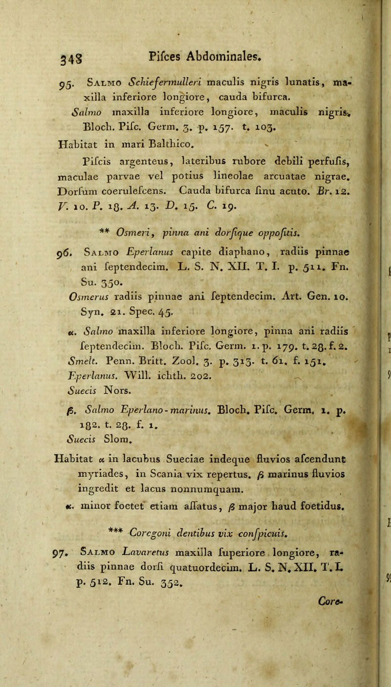 34S Salmo Schiejermulleri maculis nigris lunatis, ma- xilla inferiore longiore, cauda bifurca. Salmo maxilla inferiore longiore, maculis nigris-, Bloch. Pifc. Germ. 5. p. 157. t. 103. Habitat in mari Balthico. ^ Pifcis argenteus, lateribus rubore debili perfufis, maculae parvae vel potius lineolae arcuatae nigrae. Dorfum coerulefcens. Cauda bifurca iinu acuto. Br. 12. V. 10. P. lO. 13- D. 15. C. 19. ** Osmeri, pinna ani dorjicjue oppojitis. 96. Salmo Eperlanus capite diaphano, radiis pinnae ani feptendecim. L. S. N. XII. T. I. p. 511. Fn. Su. 350. Osrnerus radiis pinnae ani feptendecim. Art. Gen. lo. Syn. 21. Spec. 45. M. iSnbno maxilla inferiore longiore, pinna ani radiis feptendecim. Bloch. Pifc. Germ. i.p. 179. t. 23. f. 2. Smelt. Penn. Britt. Zool. 3. p. 3x3. t. 61. f. 151, Eperlanus. Will, ichth. 2o2. ^ Suecis Nors. fS, Salmo Eperlano-marinus, Bloch, Pifc. Germ, 1, p. 132. t. 23. f. 1. Suecis Slom. Habitat u in lacubus Sueciae Indeque fluvios afcendunt myriades, in Scania vix repertus. /3 marinus fluvios ingredit et lacus nonnumquam. «e. minor foetet* etiam affatus, ^ major haud foetidus, *** Corcgoni dentihus vix confpicuis, 97, Salmo Lavaretus maxilla fuperiore longiore, ra- diis pinnae dorfi quatuordecim. L. S, N, XII, T. I. p. 312. Fn. Su. 352.