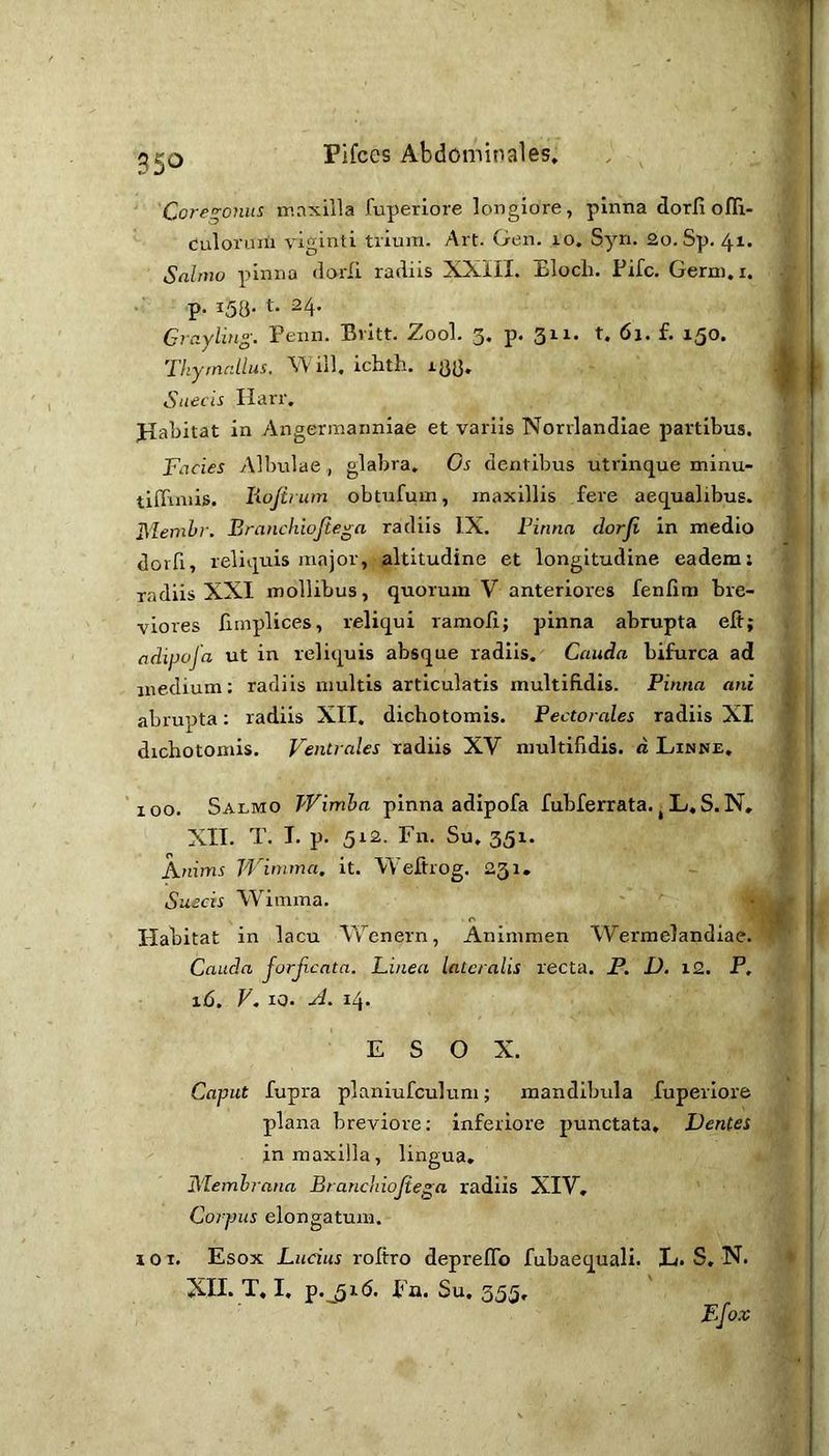 Coregoniis maxilla fuperiore longiore, pinna dorfi ofli- Culoruiii vi^inti tvium. Art. Gen. lo. Syn. 2o. Sp. 41« Sahno pinna dorfi radiis XXIII. Elocli. Fife. Gerni.i. p. 153. t. 24. Grayling. Penn. Britt. Zool. 3. p. 311. t. 61. £. 150. Thyrnnllus. ill, ichth. 133. Suecis Harr. Haljitat in Angermanniae et variis Norrlandiae partibus. Facies Albulae , glabra. Os dentibus utrinque minu- tiffiniis. liojirum obtufum, maxillis fere aequalibus. ]\Iemhr. Branchiojiega radiis IX. Binna dorji in medio dorfi, reliquis major, altitudine et longitudine eadem: radiis XXI mollibus, quorum V anteriores fenfim bre- viores fiinplices, reliqui ramofi; pinna abrupta elt; adipofa ut in reliquis absque radiis. Cauda bifurca ad medium: radiis multis articulatis multifidis. Pinna atii abrupta: radiis XIT. dichotomis. Pectorales radiis XI dichotomis. Ventrales radiis XV multifidis, d Linne. '100. Salmo J'Vimha pinna adipofa fubferrata. ^ L, S. N, XII. T. I. p. 512. Fn. Su. 351. Anims Wimma. it. Weftrog. 231. Suecis Wimma. Habitat in lacu Wenern, Animmen Wermelandiae. Cauda jorjicata. Linea lateralis recta. P. D. 12. P, 16. V. 10. yi. 14. ESOX. Caput fupra planiufculum; mandibula fuperiore plana breviore: inferiore punctata. Dentes in maxilla, lingua, Flemhrana Branchiojiega radiis XIV, Corpus elongatum. 101. Esox Ludus roltro depreflb fubaequali. L. S, N. XII. T, I. p._5i<5. Fn. Su, 355, Efo.v