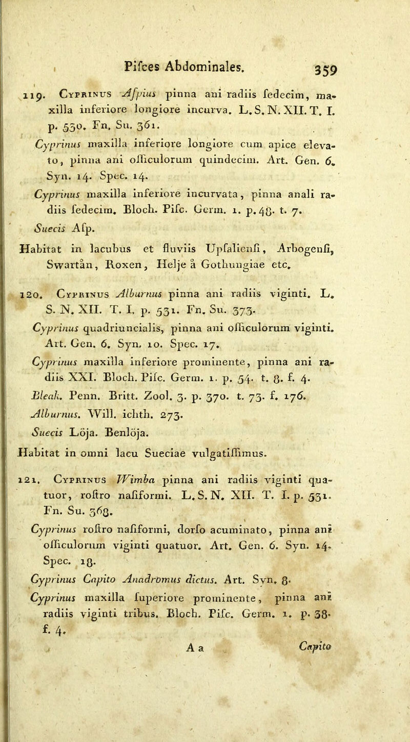 119. Cyprinus -^fpius pinna ani radiis fedecim, ma- xilla inferiore longiore incurva, L. S, N. XIL T. I. p. 550. Fn, Su. 361. Cyprinus maxilla inferiore longiore cum apice eleva- to, pinna ani olliculoruin quindecim. Art. Gen, 6, Syn, i4- Spec. 14, Cyprinus maxilla inferiore Incurvata, pinna anali ra- diis fedecim. Bloch. Fife. Germ. 1. p. 4(3. t. 7. Sueeis Afp. Habitat in lacubus et fluviis Upfalienfl, Arbogenfi, Swartan, Roxen, Helje a Gotliungiae etc, 120. CrpKiNus Alburnus pinna ani radiis viginti. L, S. N. XII. T. I. p. 531, Fn, Su. 373. Cyprinus quadriuncialis, pinna ani ofhculorum viginti. Alt. Gen, 6. Syn, 10. Spec, 17. Cyprinus maxilla inferiore prominente, pinna ani ra- diis XXI. Bloch. Fife. Germ, 1. p. 54* t. Q. f. 4- Bleak. Fenn. Britt. Zool. 3, p, 370. t. 73. f, 176. Alburnus. Will, ichth. 273, Sueeis Loja, Benloja. Habitat in omni lacu Sueclae vulgatiffimus. x2i. Cyprinus fVimha pinna ani radiis viginti qua- tuor, roftro naliformi. L. S. N, XII. T. I. p. 531. Fn. Su. 363. Cyprinus roftro naliformi, dorfo acuminato, pinna ani ofTiculorum viginti quatuor. Art, Gen. 6. Syn. 14* Spec. iQ. Cyprinus Capito Anadromus dictus. Art. Syn, g* Cyprinus maxilla fuperiore prominente, pinna ani radiis viginti tribus. Bloch, Fife. Germ. x. p. 38' f-4. A a Capito