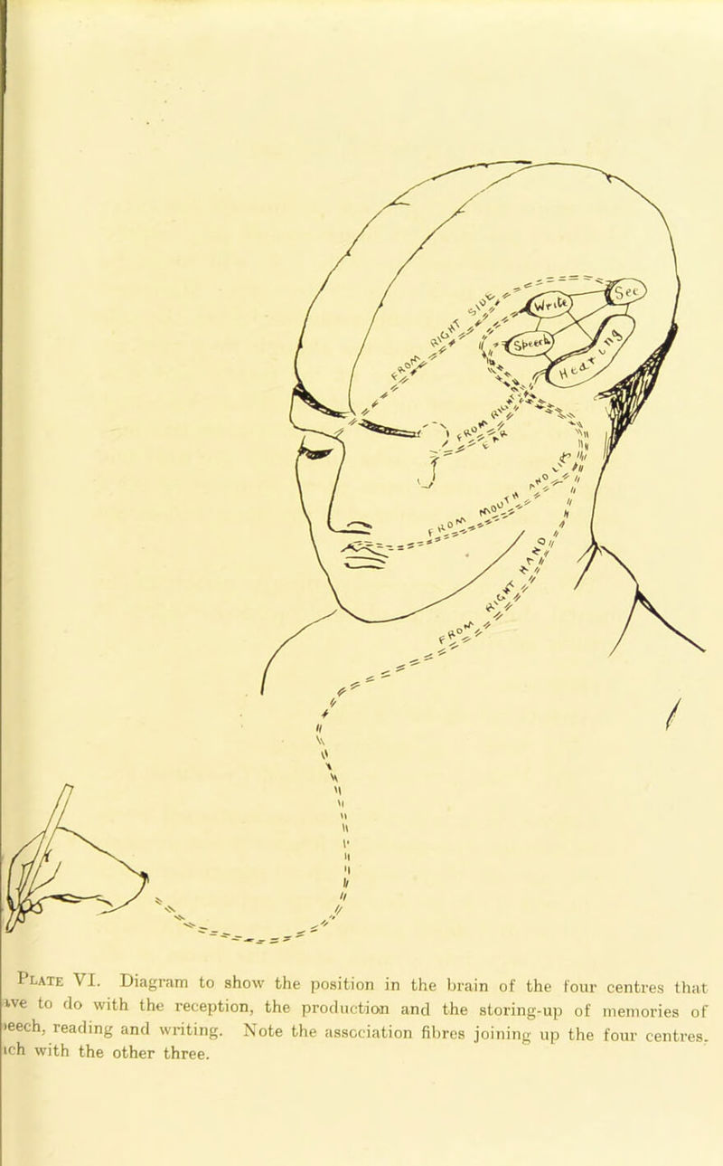 Plate VI. Diagrain to show the position in the brain of the four centres that we to do with the reception, the production and the storing-up of memories of leech, reading and writing. Note the association fibres joining up the four centres, ich with the other three.