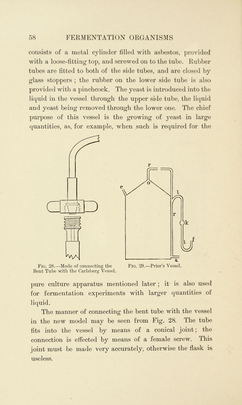 consists of a metal cylinder filled with asbestos, provided with a loose-fitting top, and screwed on to the tube. Rubber tubes are fitted to both of the side tubes, and are closed by glass stoppers ; the rubber on the lower side tube is also provided with a pinchcock. The yeast is introduced into the liquid in the vessel through the upper side tube, the liquid and yeast being removed through the lower one. The chief purpose of this vessel is the growing of yeast in large ([uantities, as, for example, when such is required for the Fig. 28.—Mode of connecting the Bent Tube with the Carlsberg Vessel. r pure culture apparatus mentioned later ; it is also used for fermentation experiments with larger quantities of liquid. The manner of connecting the bent tube with the vessel in the new model may be seen from Fig. 28. The tube fits into the vessel by means of a conical joint; the connection is efiected by means of a female screw. This joint must be made very accurately, otherwise the flask is useless.