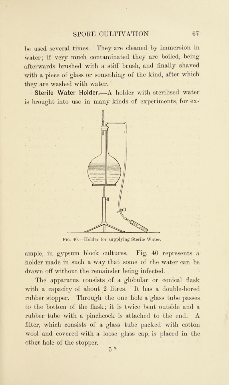 be used several times. They are cleaned by immersion in water; if very much contaminated they are boiled, being afterwards brushed with a stiff brush, and finally shaved with a piece of glass or something of the kind, after which they are washed with water.' Sterile Water Holder.—A holder with sterilised water is brought into use in many kinds of experiments, for ex- Fig. 40.—Holder for supplying Sterile Water. ample, in gypsum block cultures. Fig. 40 represents a holder made in such a way that some of the water can be drawn off without the remainder being infected. The apparatus consists of a globular or conical flask with a capacity of about 2 litres. It has a double-bored rubber stopper. Through the one hole a glass tube passes to the bottom of the flask; it is twice bent outside and a rubber tube with a pinchcock is attached to the end. A filter, which consists of a glass tube packed with cotton wool and covered with a loose glass cap, is placed in the other hole of the stopper.