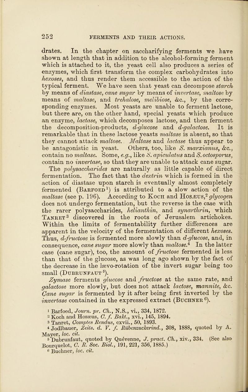 drates. In the chapter on saccharifying ferments we have shown at length that in addition to the alcohol-forming ferment which is attached to it, the yeast cell also produces a series of enzymes, which first transform the complex carbohydrates into hexoses, and thus render them accessible to the action of the typical ferment. We have seen that yeast can decompose starch by means of diastase, cane sugar by means of invertase, maltose by means of maltase, and trehalose, melihiose, &c., by the corre- sponding enzymes. Most yeasts are unable to ferment lactose, but there are, on the other hand, special yeasts which produce an enzyme, lactase, which decomposes lactose, and then ferment the decomposition-products, d-glucose and d-galactose. It is remarkable that in these lactose yeasts maltase is absent, so that they cannot attack maltose. Maltase and lactase thus appear to be antagonistic in yeast. Others, too, like S. marxianus, &c., contain no maltase. Some, e.g., like IS. apiculatus and S. octosporus, contain no invertase, so that they are unable to attack cane sugar. The polysaccharides are naturally as little capable of direct fermentation. The fact that the dextrin which is formed in the action of diastase upon starch is eventually almost completely fermented (Barfoed1) is attributed to a slow action of the maltase (see p. 196). According to Koch and Hosa:us,2 glycogen does not undergo fermentation, but the reverse is the case with the rarer polysaccharides, helianthin, and synarthrin, which Tanret3 discovered in the roots of Jerusalem artichokes. Within the limits of fermentability further differences are apparent in the velocity of the fermentation of different hexoses. Thus, d-fructose is fermented more slowly than d-glucose, and, in consequence, cane sugar more slowly than maltose.4 In the latter case (cane sugar), too, the amount of fructose fermented is less than that of the glucose, as was long ago shown by the fact of the decrease in the lsevo-rotation of the invert sugar being too small (Dubrunfaut5). Zymase ferments glucose and fructose at the same rate, and galactose more slowly, but does not attack lactose, mannite, &c. Cane sugar is fermented by it after being first inverted by the invertase contained in the expressed extract (Buchner6). 1 Barfoed, Journ. pr. Cli., N.S., vi., 334, 1872. 2 Koch and Hosseus, G. f. Bald., xvi., 145, 1894. 3 Tanret, Comptes Rendus, cxvii., 50, 1893. 4 Jodlbauer, Zeits. d. V. f. RiibenzucJcerind., 308, 1888, quoted by A. Mayer, loc. cit. 5 Dubrunfaut, quoted by Qu&venne, J. pract. Ch., xiv., 334. (See also Bourquelot, C. R. Soc. Biol., 191,221, 356, 1885.) <! Buchner, loc. cit.