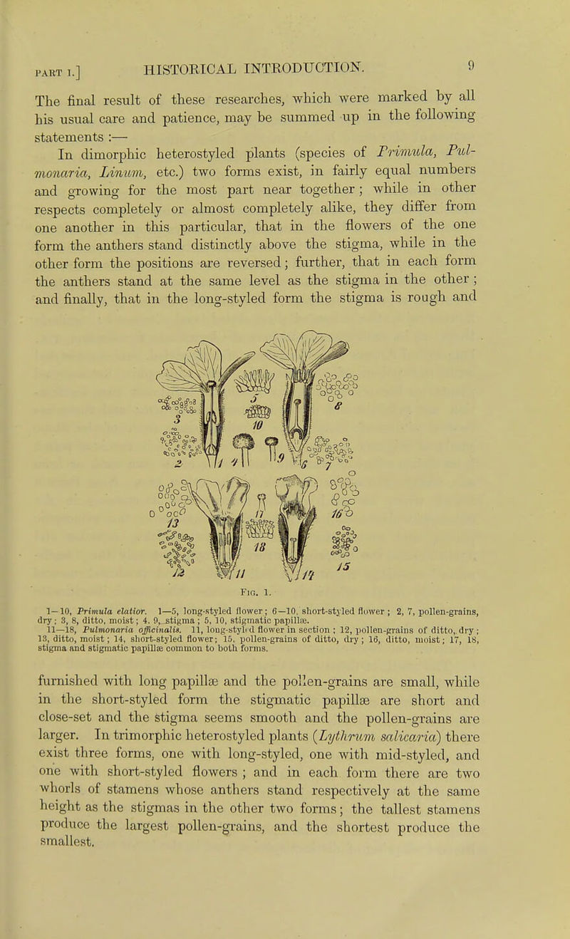 The final result of these researches, which were marked by all his usual care and patience, may be summed up in the following statements :— In dimorphic heterostyled plants (species of Primula, Pul- monaria, Linum, etc.) two forms exist, in fairly equal numbers and gTowing for the most part near together; while in other respects completely or almost completely alike, they differ from one another in this particular, that in the flowers of the one form the anthers stand distinctly above the stigma, while in the other form the positions are reversed; further, that in each form the anthers stand at the same level as the stigma in the other; and finally, that in the long-styled form the stigma is rough and Fio. 1. I— 10, Primula elatior. 1—5, long-styled flower ; 6—10, short-styled flower ; 2, 7, pollen-grains, dry ; 3, 8, ditto, moist; 4. 0,_j3tigma ; 5, 10, stigmatio papilla;. II— 18, Pulmonaria officinalis. 11, loug-stylt d flower in section ; 12, pollen-grains of ditto, dry ; 13, ditto, moist; 14, short-styled flower; 15, pollen-grains of ditto, dry; 16, ditto, moist; 17, is, stigma and stigmatic papillae common to both forms. furnished with long papillae and the pollen-grains are small, while in the short-styled form the stigmatic papillae are short and close-set and the stigma seems smooth and the pollen-grains are larger. In trimorphic heterostyled plants {Lytlirum salicaria) there exist three forms, one with long-styled, one with mid-styled, and one with short-styled flowers ; and in each form there are two whorls of stamens whose anthers stand respectively at the same height as the stigmas in the other two forms; the tallest stamens produce the largest pollen-grains, and the shortest produce the smallest.