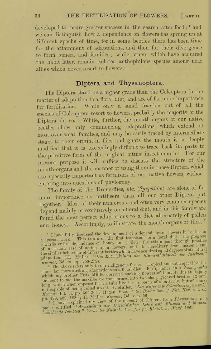 developed to insure greater success in the search after food;1 and we can distinguish how a dependence on flowers has sprung up at different epochs of time, for in some beetles there has been time for the attainment of adaptations, and then for their divergence to form genera and families; while others, which have acquired the habit later, remain isolated anthophilous species among near allies which never resort to flowers.2 Diptera and Thysanoptera. The Diptera stand on a higher grade than the Coleoptera in the matter of adaptation to a floral diet, and are of far more importance for fertilisation. While only a small fraction out of all the species of Coleoptera resort to flowers, probably the majority of the Diptera do so. While, further, the mouth-organs of our native beetles show only commencing adaptations, which extend at most over small families, and may be easily traced by intermediate stages to their origin, in flies and gnats the mouth is so deeply modified that it is exceedingly difficult to trace back its parts to the primitive form of the original biting insect-mouth.3 For our present purpose it will suffice to discuss the structure of the mouth-organs and the manner of using them in those Diptera which are specially important as fertilisers of our native flowers, without entering into questions of phylogeny. The family of the Drone-flies, etc. (Syrphidai), are alone of far more importance as fertilisers than all our other Diptera put too-ether. Most of their numerous and often very common species depend mainly or exclusively on a floral diet, and in this family are found the most perfect adaptations to a diet alternately of pollen and honey. Accordingly, to illustrate the mouth-organs of flies, I i I have fully discussed the development of a dependence on flowers in beetles m a snecial work This treats of the first transition to a floral diet; the V™V>f* LSs entire dependence on honey and pollen ; the attornment through practice of a certain ease of action upon flowers, and its hereditary transmission ; a the ^irnlar behaviour of differenfbeetles which have acquired equal dsfcucto al adaptation (H. Mtiller, Die EntmcJcclung der Blumcnthatiylcit dei Insekten, *T&^Jfc.*£J'to our indigenous forms. Tropical and subtropical