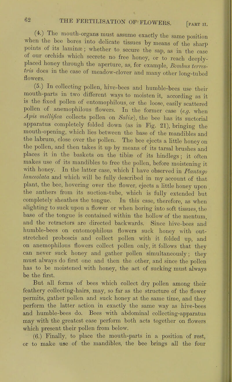 (4.) The mouth-organs must assume exactly the same position when the bee bores into delicate tissues by means of the sharp points of its laminae; whether to. secure the sap, as in the case of our orchids which secrete no free honey, or to reach deeply- placed honey through the aperture, as, for example, Bomlus terres- tris does m the case of meadow-clover and many other long-tubed flowers. (5.) In collecting pollen, hive-bees and humble-bees use their mouth-parts in two different ways to moisten it, according as it is the fixed pollen of entomophilous, or the loose, easily scattered pollen of anemophilous flowers. In the former case (e.g. when Apis mellifica collects pollen on Salix), the bee has its suctorial apparatus completely folded down (as in Fig. 21), bringing the mouth-opening, which lies between the base of the mandibles and the labrum, close over the pollen. The bee ejects a little honey on the pollen, and then takes it up by means of its tarsal brushes and places it in the baskets on the tibiae of its hindlegs; it often makes use of its mandibles to free the pollen, before moistening it with honey. In the latter case, which I have observed in Plantago lanceolaia and which will be fully described in my account of that plant, the bee, hovering over the flower, ejects a little honey upon the anthers from its suction-tube, which is fully extended but completely sheathes the tongue. In this case, therefore, as when alighting to suck upon a flower or when boring into soft tissues, the base of the tongue is contained within the hollow of the mentum, and the retractors are directed backwards. Since hive-bees and humble-bees on entomophilous flowers suck honey with out- stretched proboscis and collect pollen with it folded up, and on anemophilous flowers collect pollen only, it follows that they can never suck honey and gather pollen simultaneously; they must always do first one and then the other, and since the pollen has to be moistened with honey, the act of sucking must always be the first. But all forms of bees which collect dry pollen among their feathery collecting-hairs, may, so far as the structure of the flower permits, gather pollen and suck honey at the same time, and they perform the latter action in exactly the same way as hive-bees and humble-bees do. Bees with abdominal collecting-apparatus may with the greatest ease perform both acts together on flowers which present their pollen from below. (6.) Finally, to place the mouth-parts in a position of rest, or to make use of the mandibles, the bee brings all the four