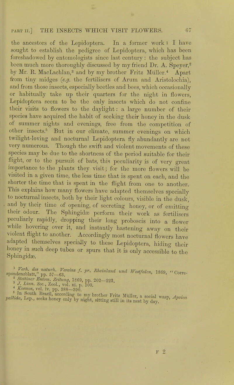 the ancestors of the Lepidoptera. In a former work 1 I have sought to establish the pedigree of Lepidoptera, which has been foreshadowed by entomologists since last century : the subject has been much more thoroughly discussed by my friend Dr. A. Speyer,2 by Mr. R. MacLachlan,3 and by my brother Fritz Miiller.4 Apart from tiny midges {e.g. the fertilisers of Arum and Aristolochia), and from those insects, especially beetles and bees, which occasionally or habitually take up their quarters for the night in flowers, Lepidoptera seem to be the only insects which do not confine their visits to flowers to the daylight: a large number of their species have acquired the habit of seeking their honey in the dusk of summer nights and evenings, free from the competition of other insects.5 But in our climate, summer evenings on which twilight-loving and nocturnal Lepidoptera fly abundantly are not very numerous. Though the swift and violent movements of these species may be due to the shortness of the period suitable for their flight, or to the pursuit of bats, this peculiarity is of very great importance to the plants they visit; for the more flowers will be visited in a given time, the less time that is spent on each, and the shorter the time that is spent in the flight from one to another. This explains how many flowers have adapted themselves specially to nocturnal insects, both by their light colours, visible in the dusk, . and by their time of opening, of secreting honey, or of emitting their odour. The Sphingidse perform their work as fertilisers peculiarly rapidly, dropping their long proboscis into a flower while hovering over it, and instantly hastening away on their violent flight to another. Accordingly most nocturnal flowers have adapted themselves specially to these Lepidoptera, hiding their honey in such deep tubes or spurs that it is only accessible^ the Sphingidse. PK RheMand Und WeStfaUn> 1869> C— * Stcttiner Entom. Zeitung, 1869, pp. 202—223 3 J. Linn. Soc, Zool., vol. xi. p. 100. * Kosmos, vol. iv. pp. 388—390. In South Brazil, according to mv brother TWr» MiilW o „„„; i > . pallida, Lep., seeks honey ^v^^^^^^j^ A^ F 2